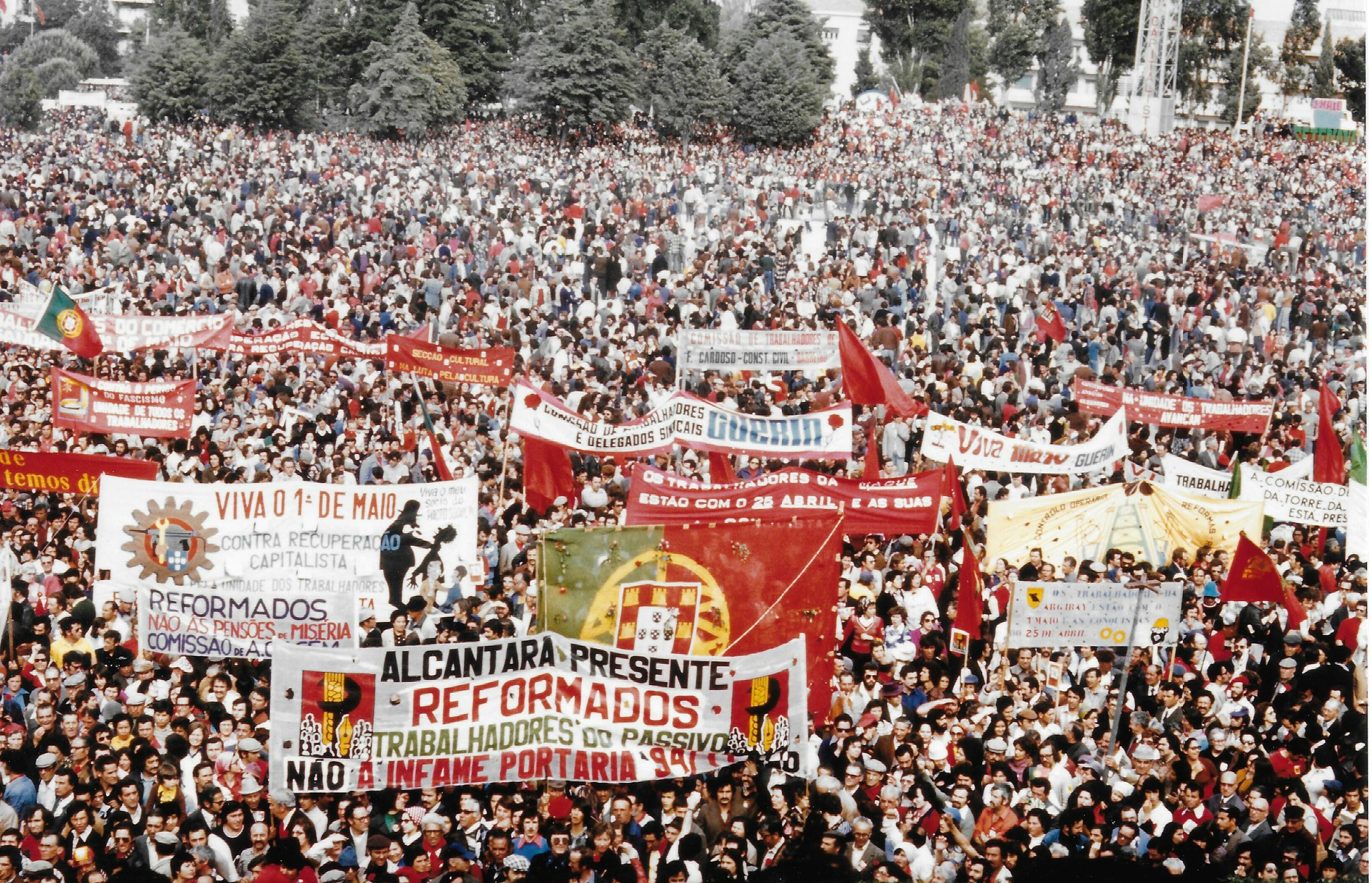 Coimbra: Fado & Freedom: Carnation Dawn image 1