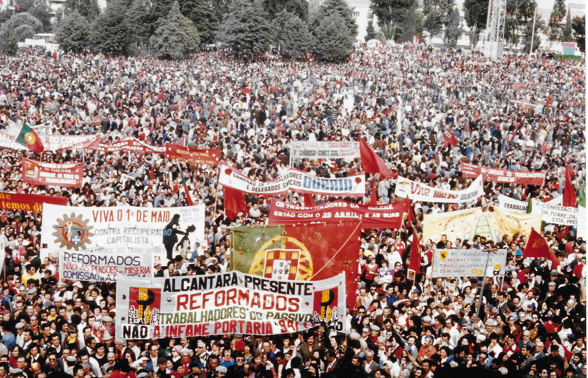 Coimbra: Fado & Freedom: Carnation Dawn