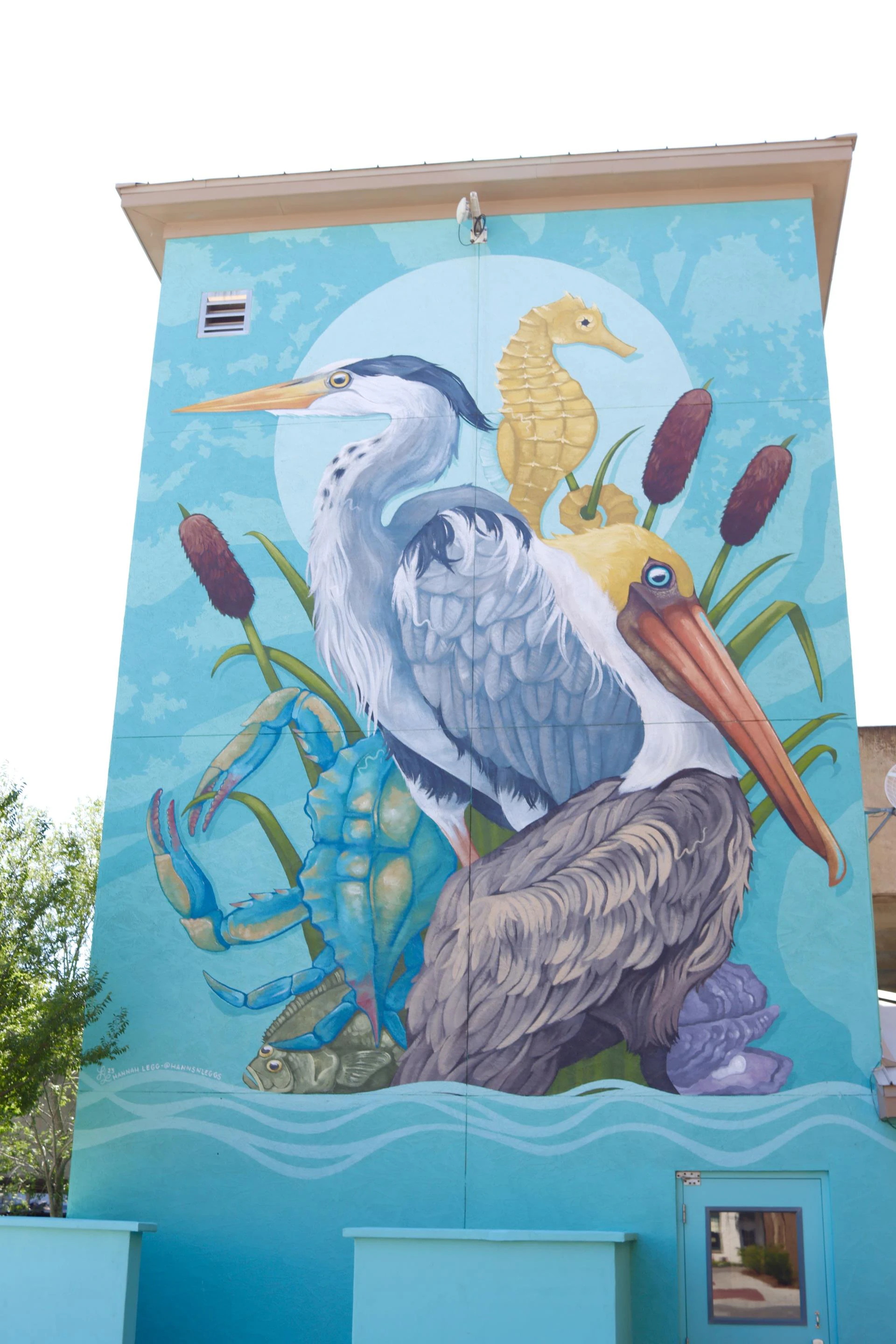 Secret Stroll: Scouting Fairhope’s Hidden Highlights