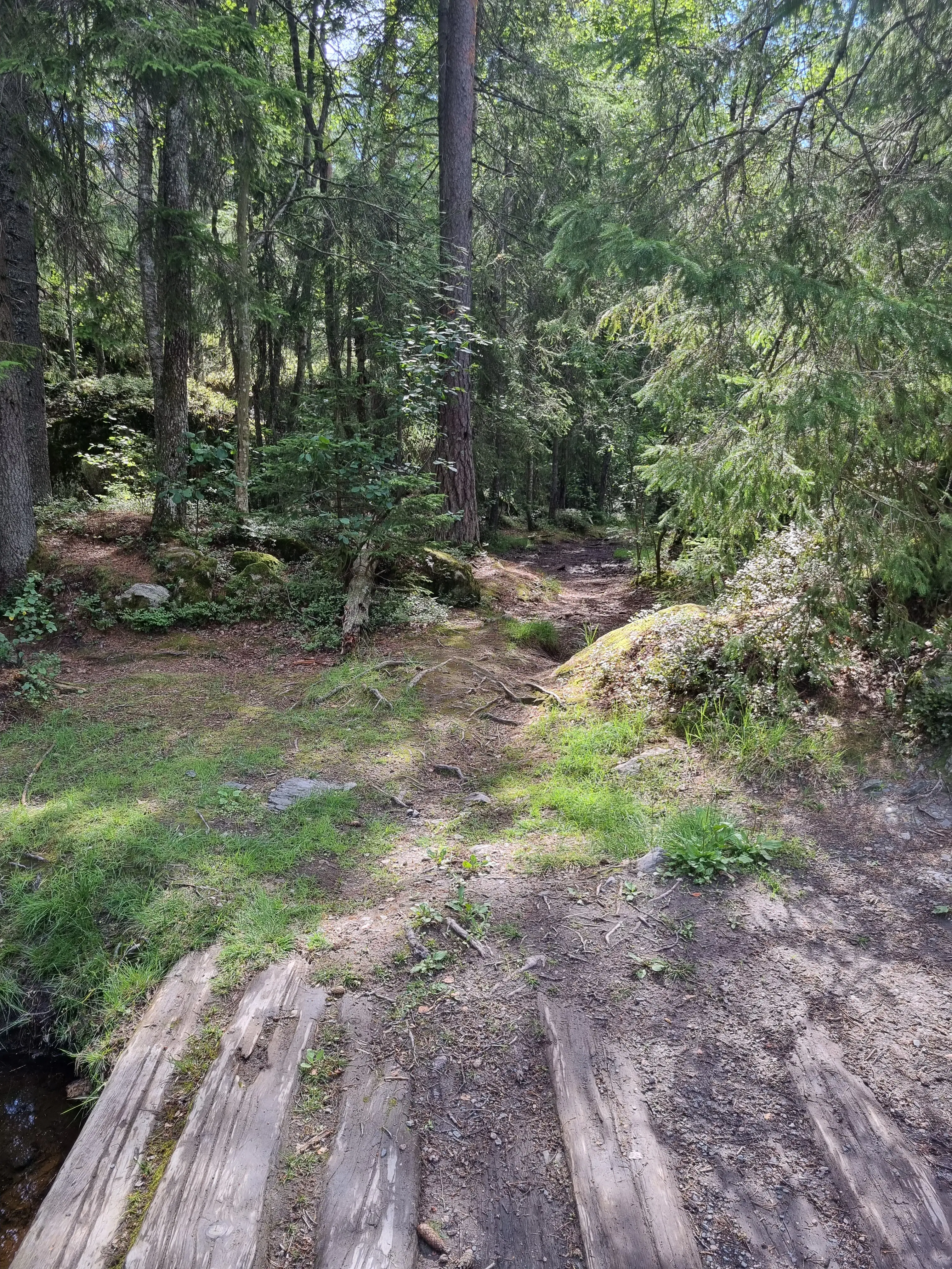 Troll Hunters in Østmarka, Oslo image 1