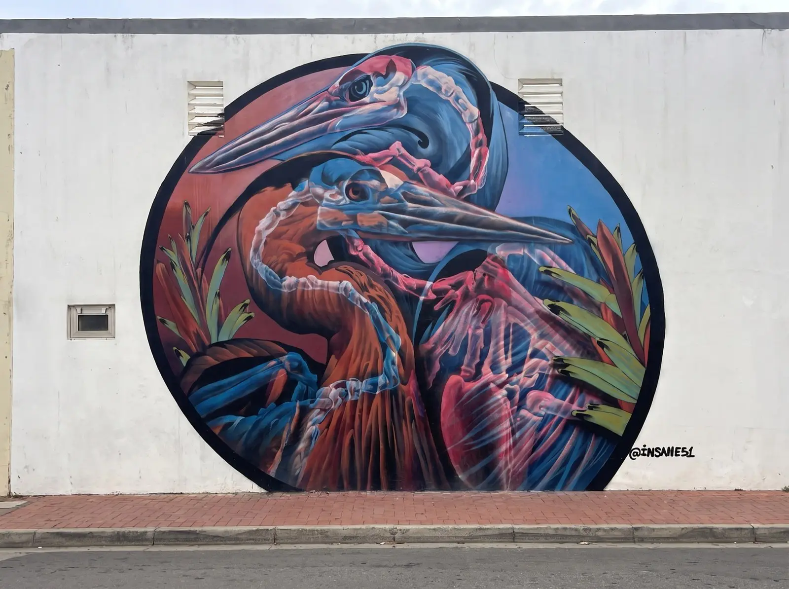 Sunrise City Secrets: A San Nicolas Street-Art Mystery Walk image 1