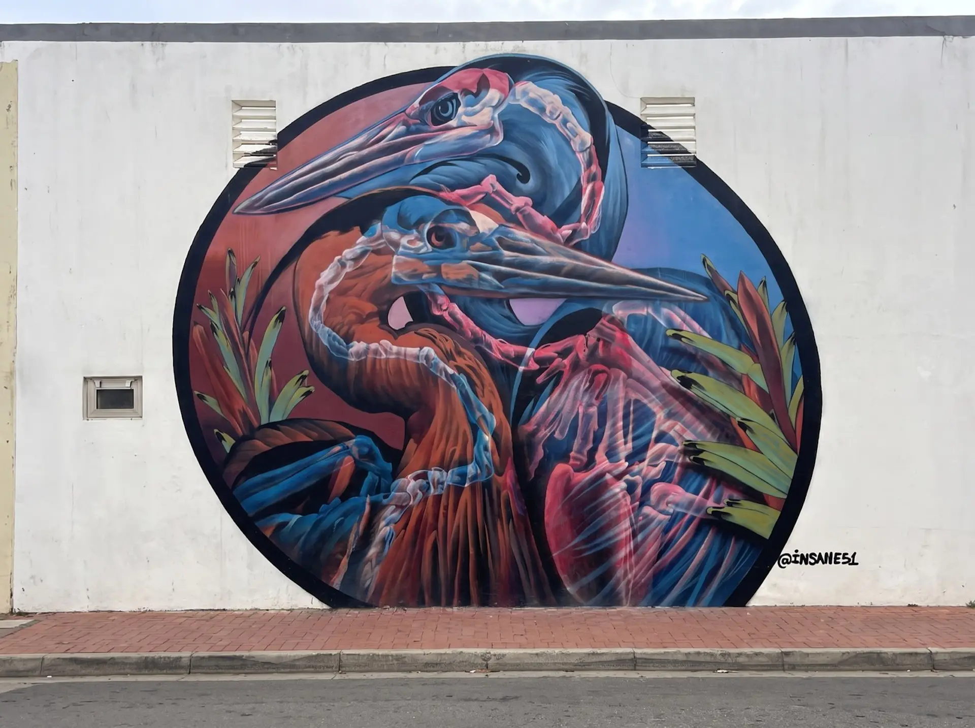 Sunrise City Secrets: A San Nicolas Street-Art Mystery Walk image 1