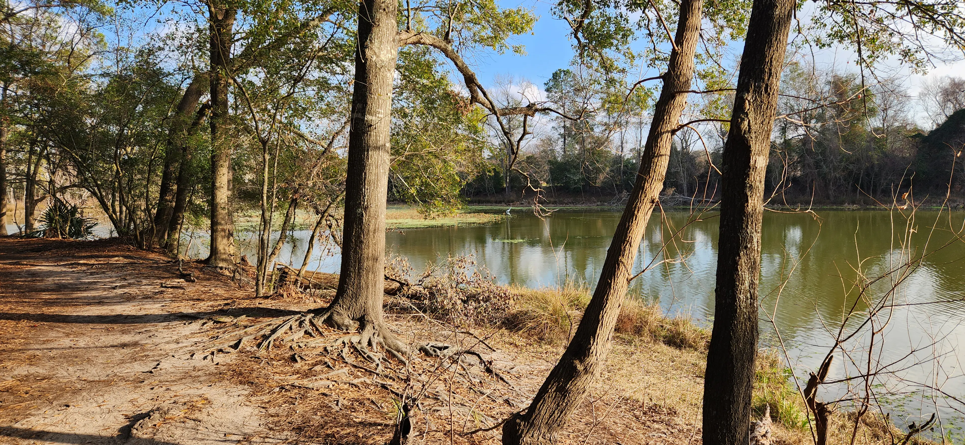 Romantic Houston: Year of Love image 1