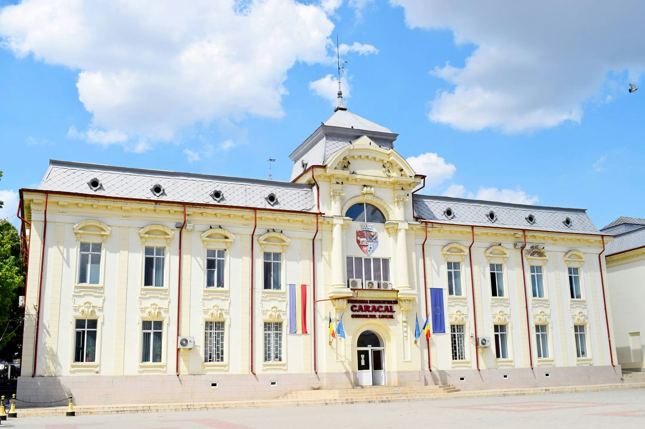 Caracal Adventure & History  cover