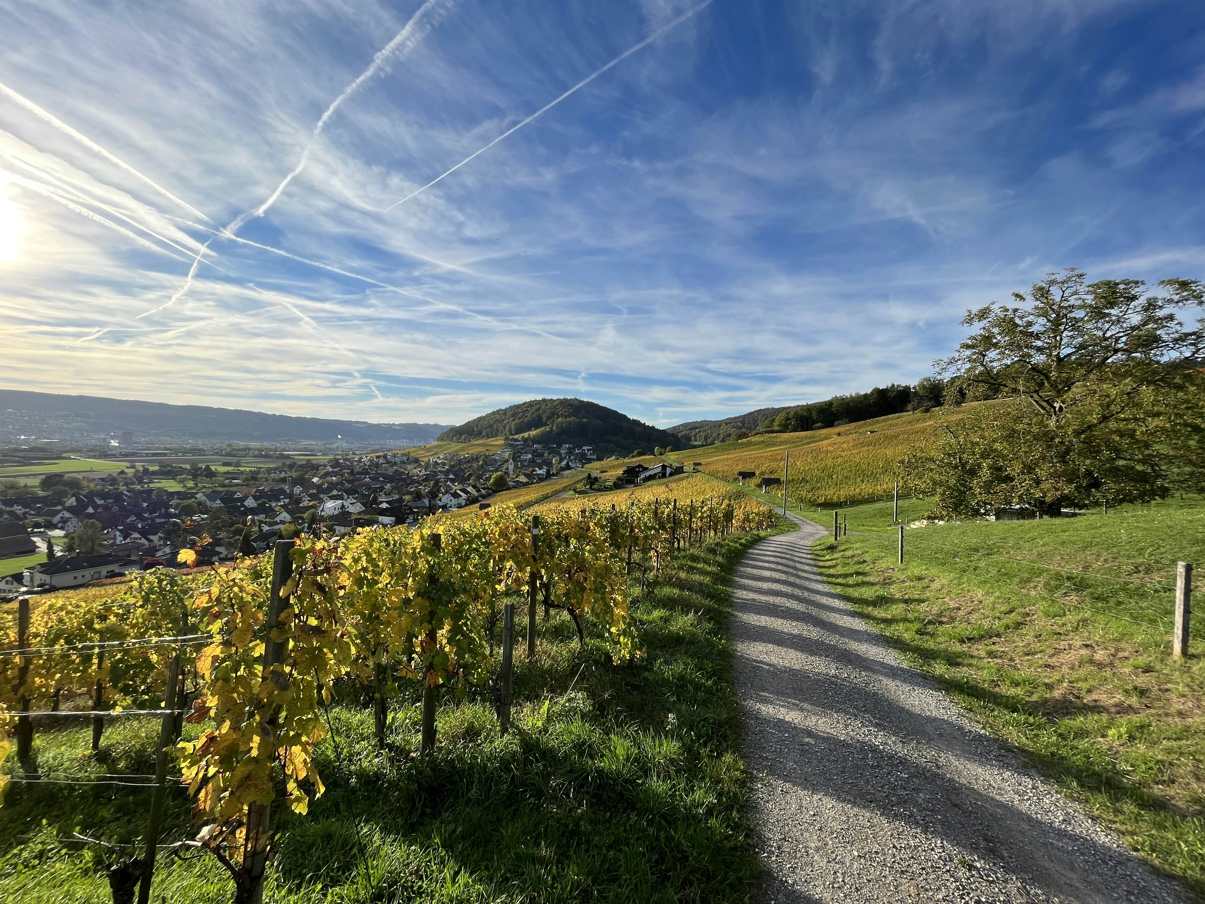 Wonderful view, vineyard walk and local products tasting, Weiningen image