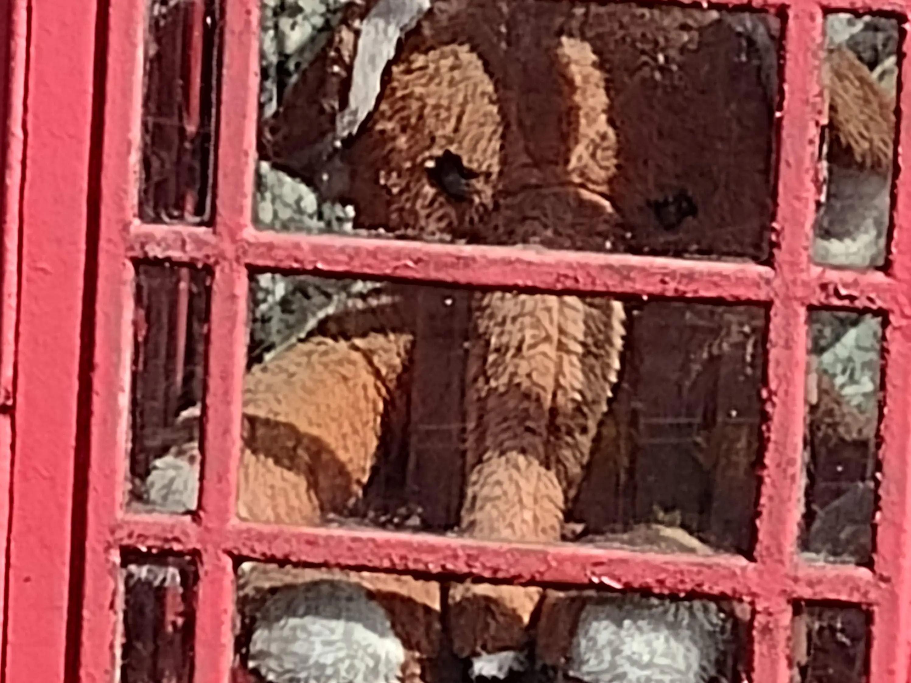 Scavenger Hunt Glastonbury: Trivia Trail image 1