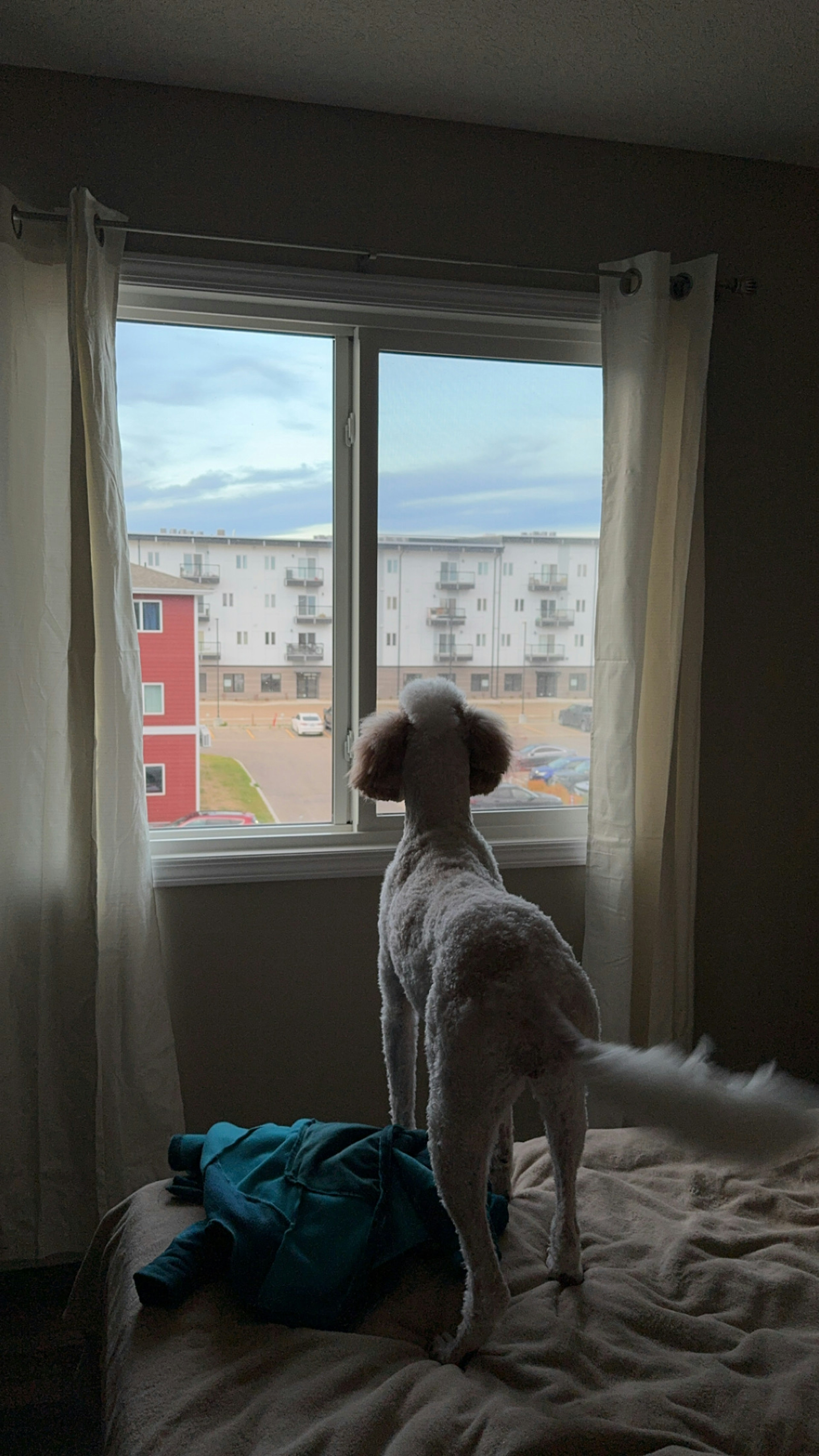 Farmer Quest second image