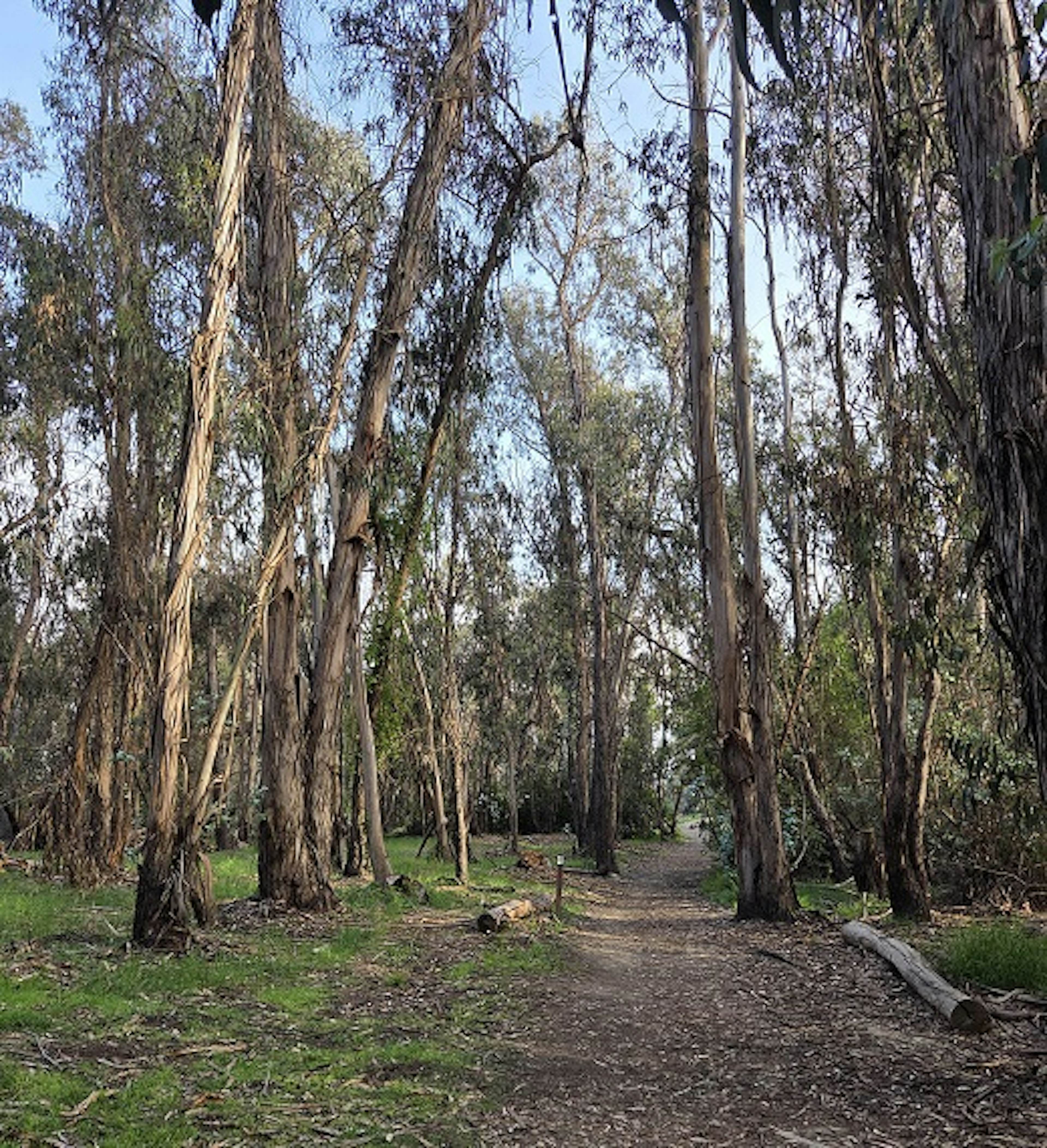Butterfly Habitat to Bluffs to Beach image 1
