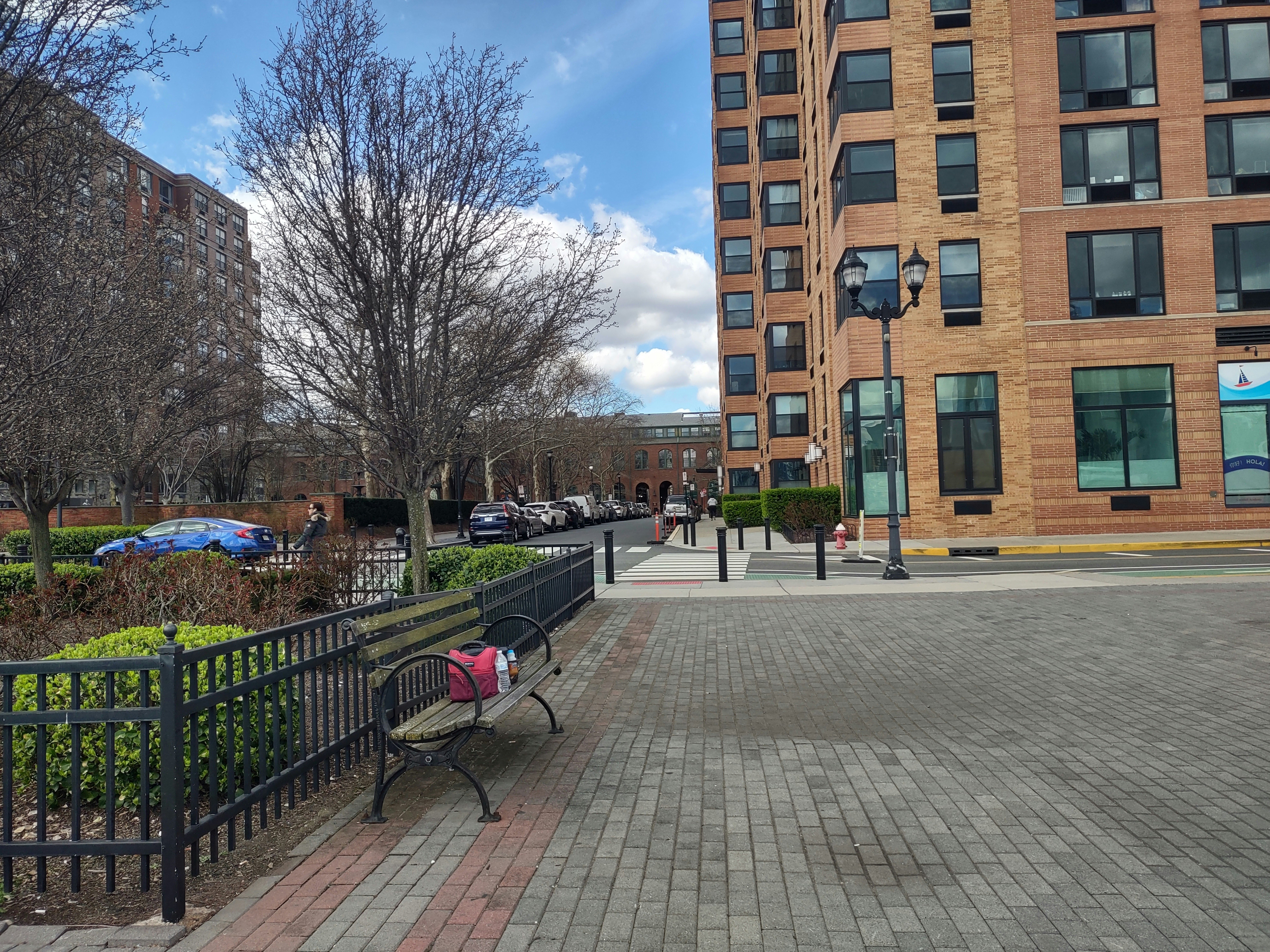 Finding a Lost Cat on the Hoboken Waterfront and Stevens Tech image 2
