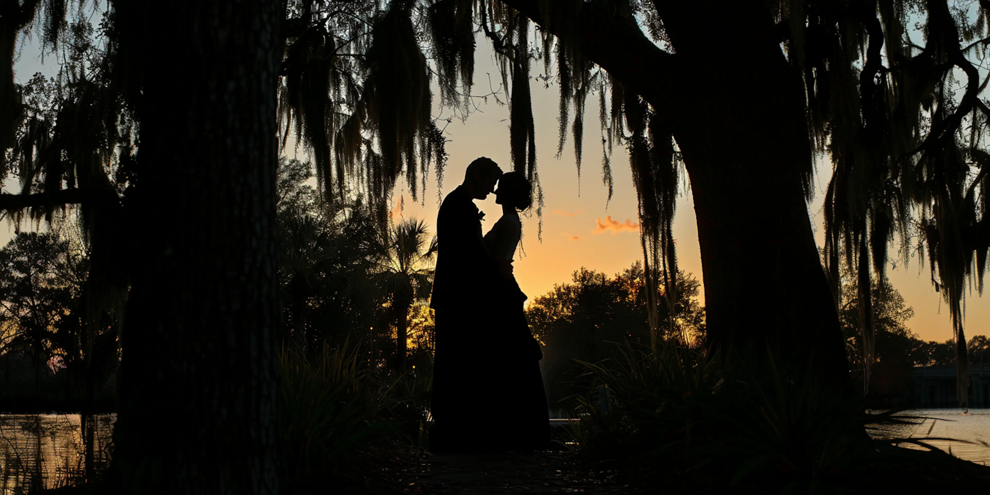 Star Crossed in Winter Park image 1