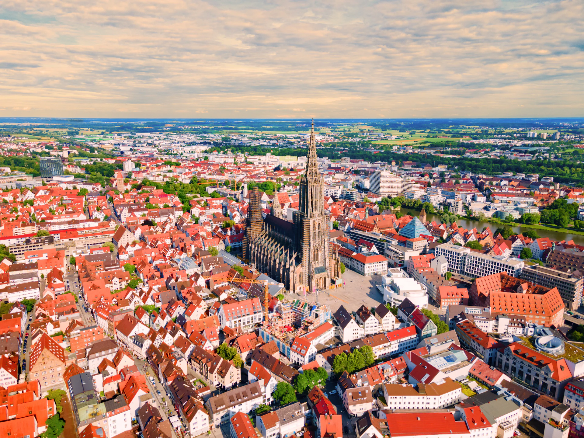 The five gilded sparrows in Ulm