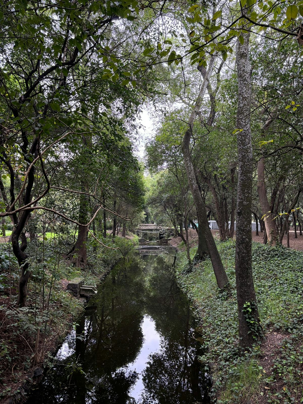 Tlaloc´s Quest in Chapultepec cover