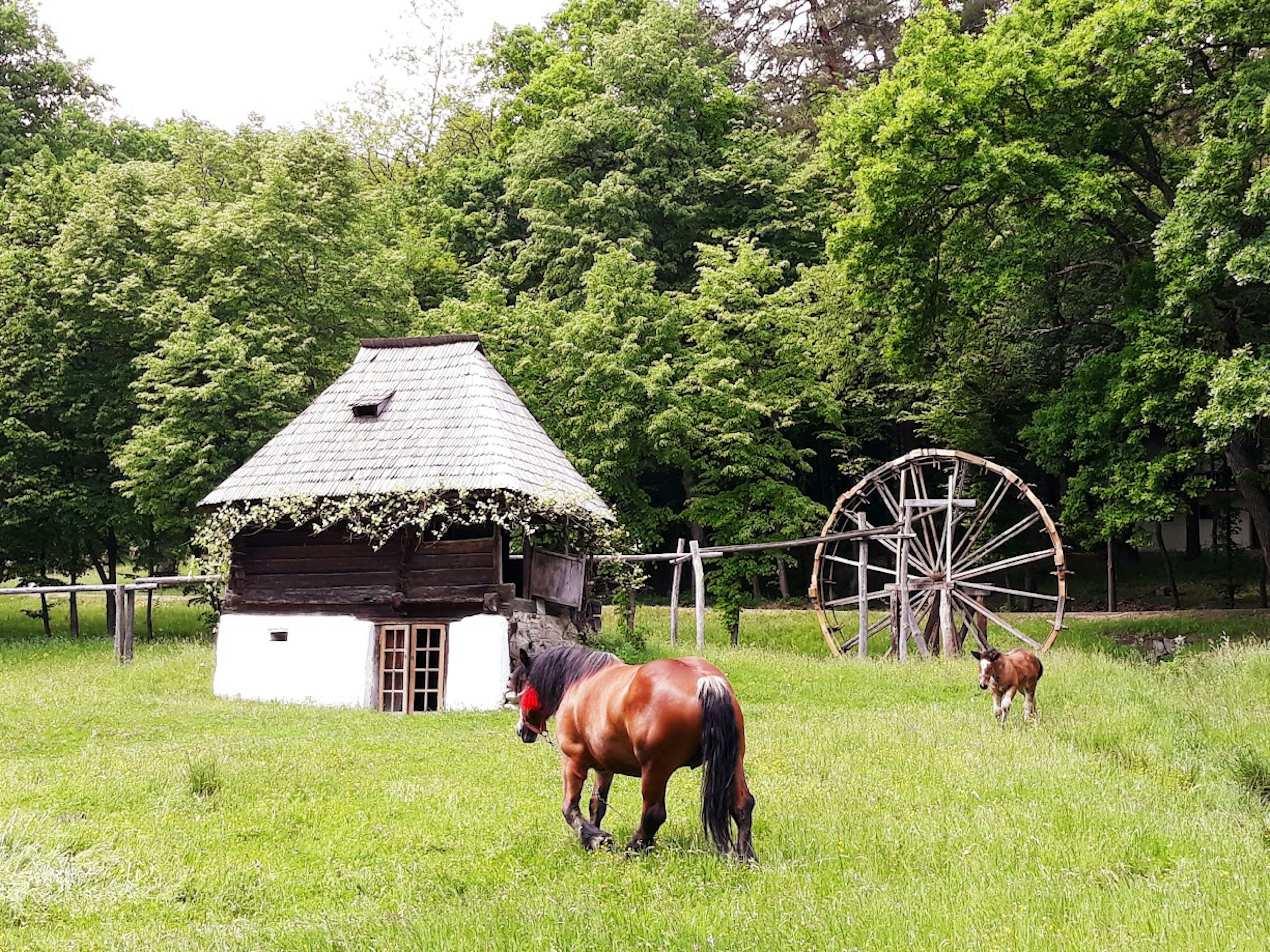 Small Romanian village at Astra Museum, Sibiu