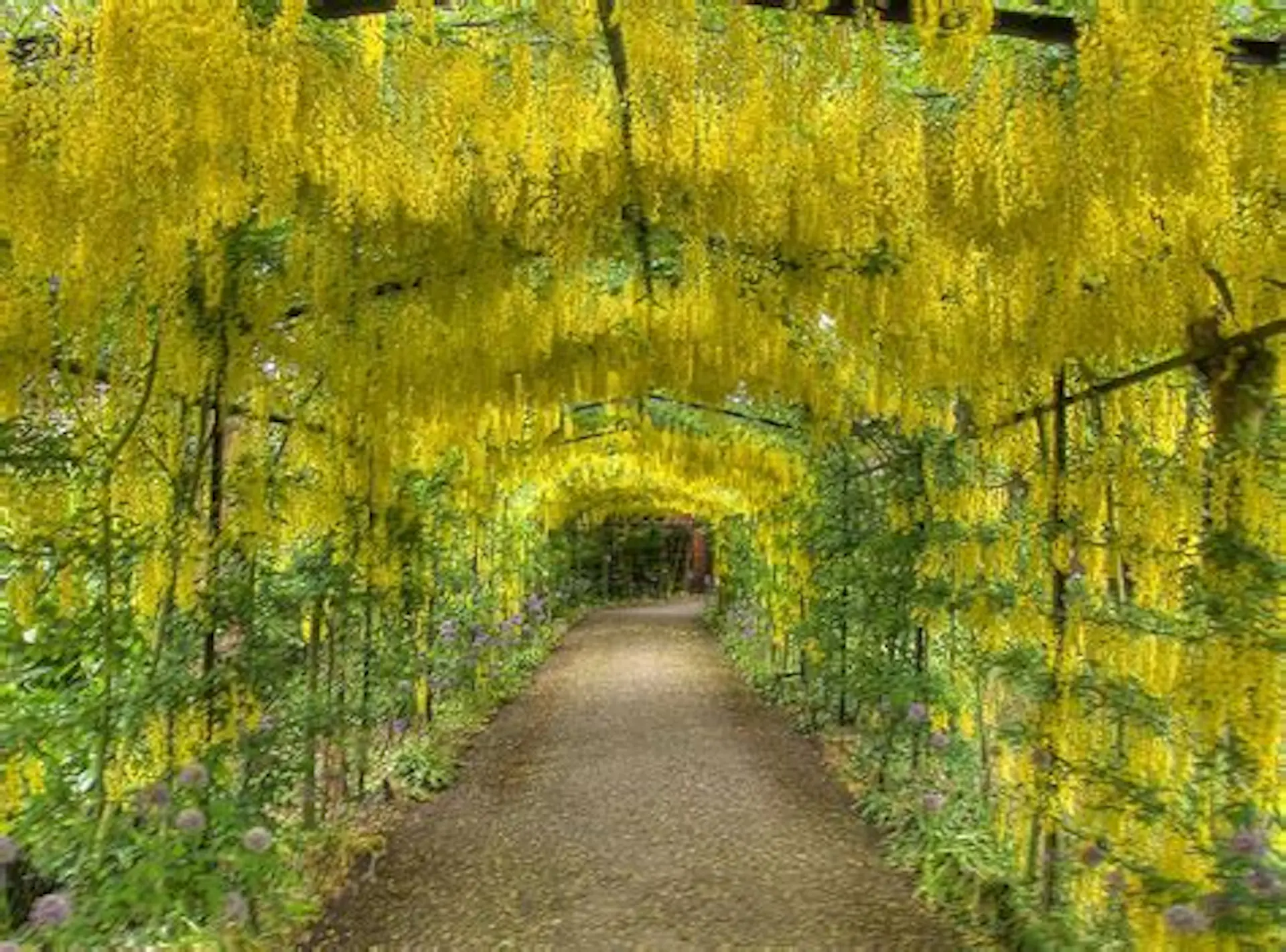 Elle Silver's Escape: Richmond Park, London image 1
