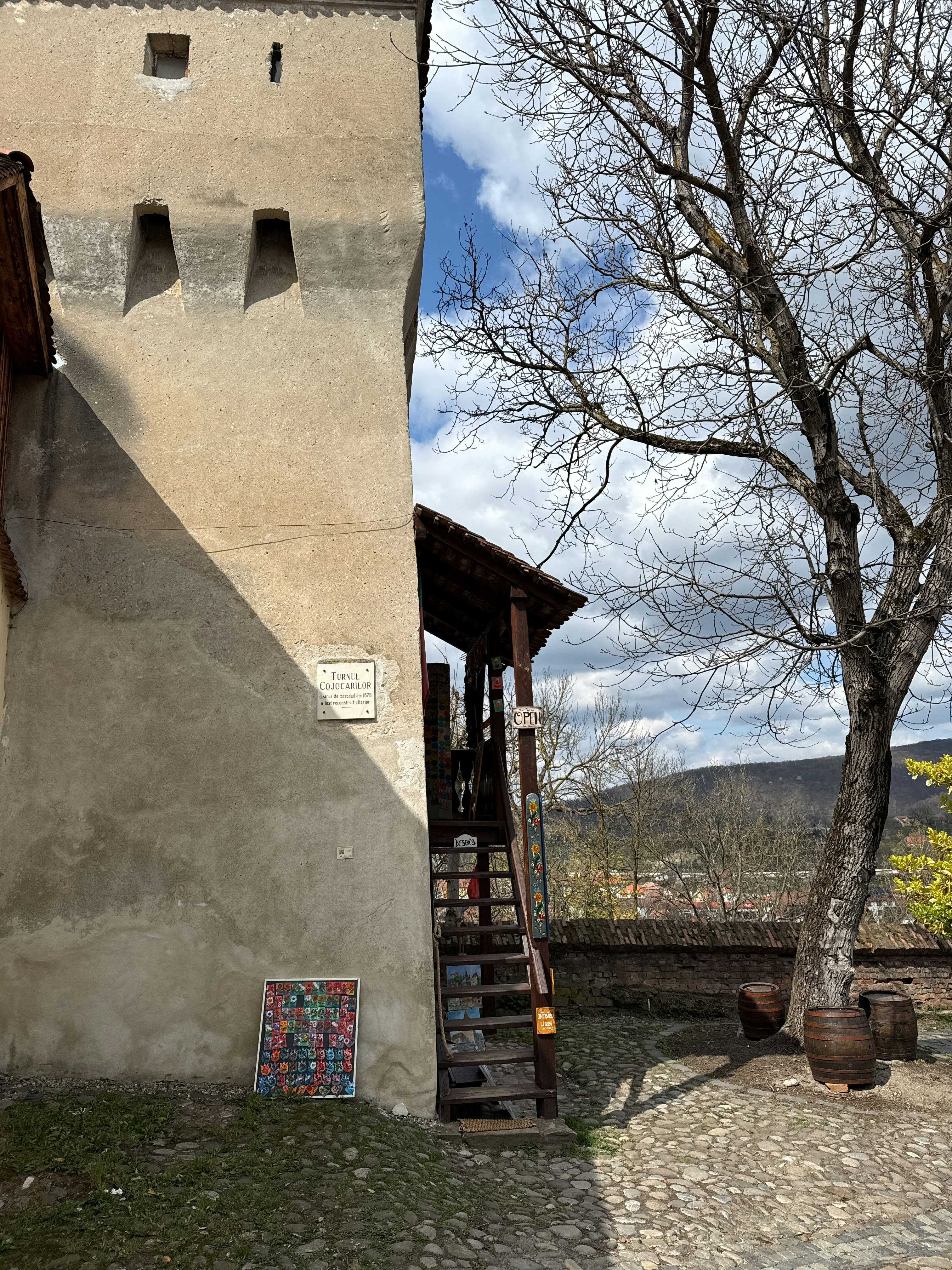 Player photo from Medieval Sighisoara: Defend the Fortress