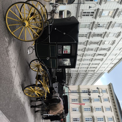 Player photo from Escape the Great Plague: A Medieval Vienna Mystery walking tour in Vienna