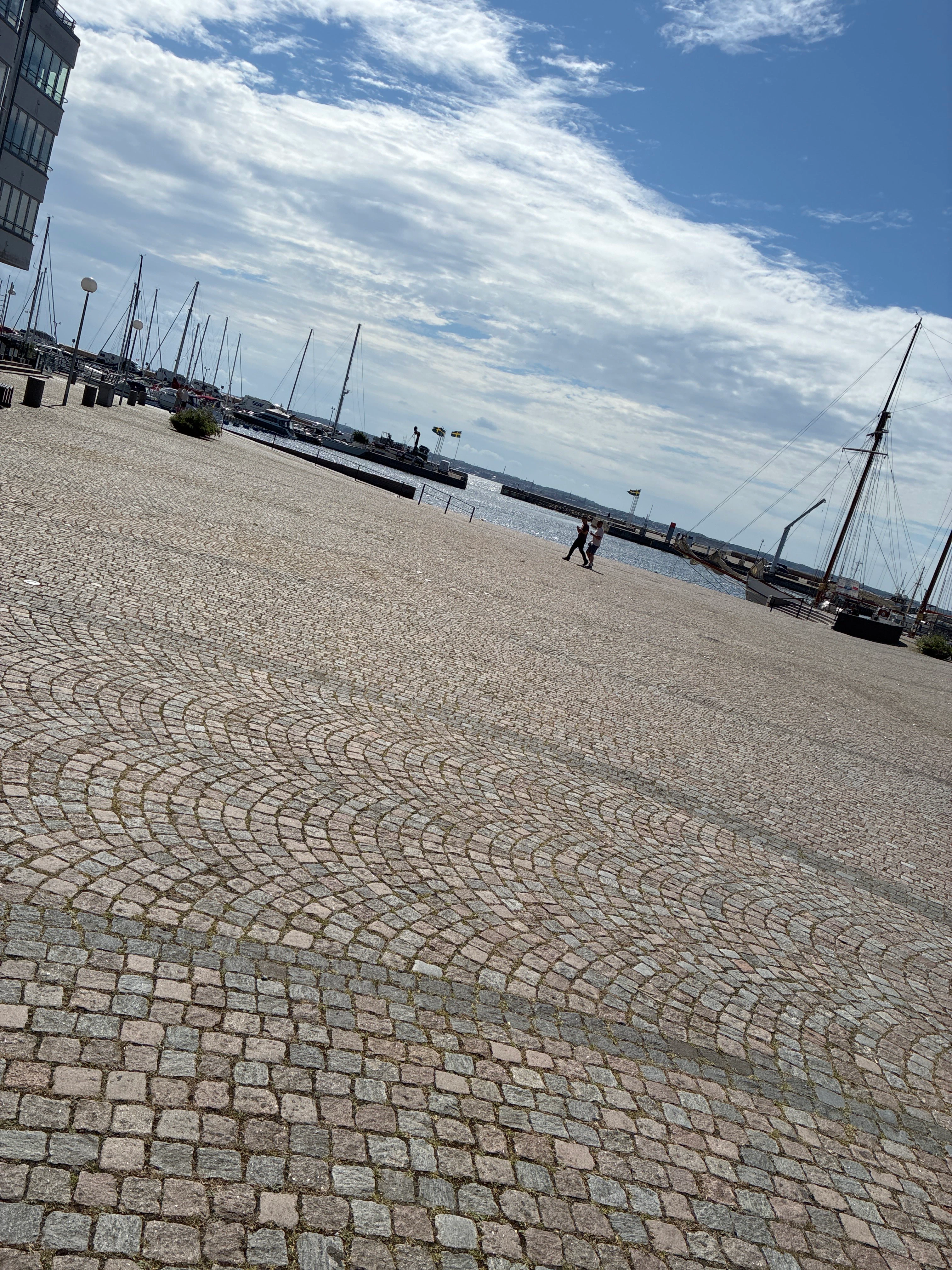 Player photo from Last human on Earth: The Helsingborg Case