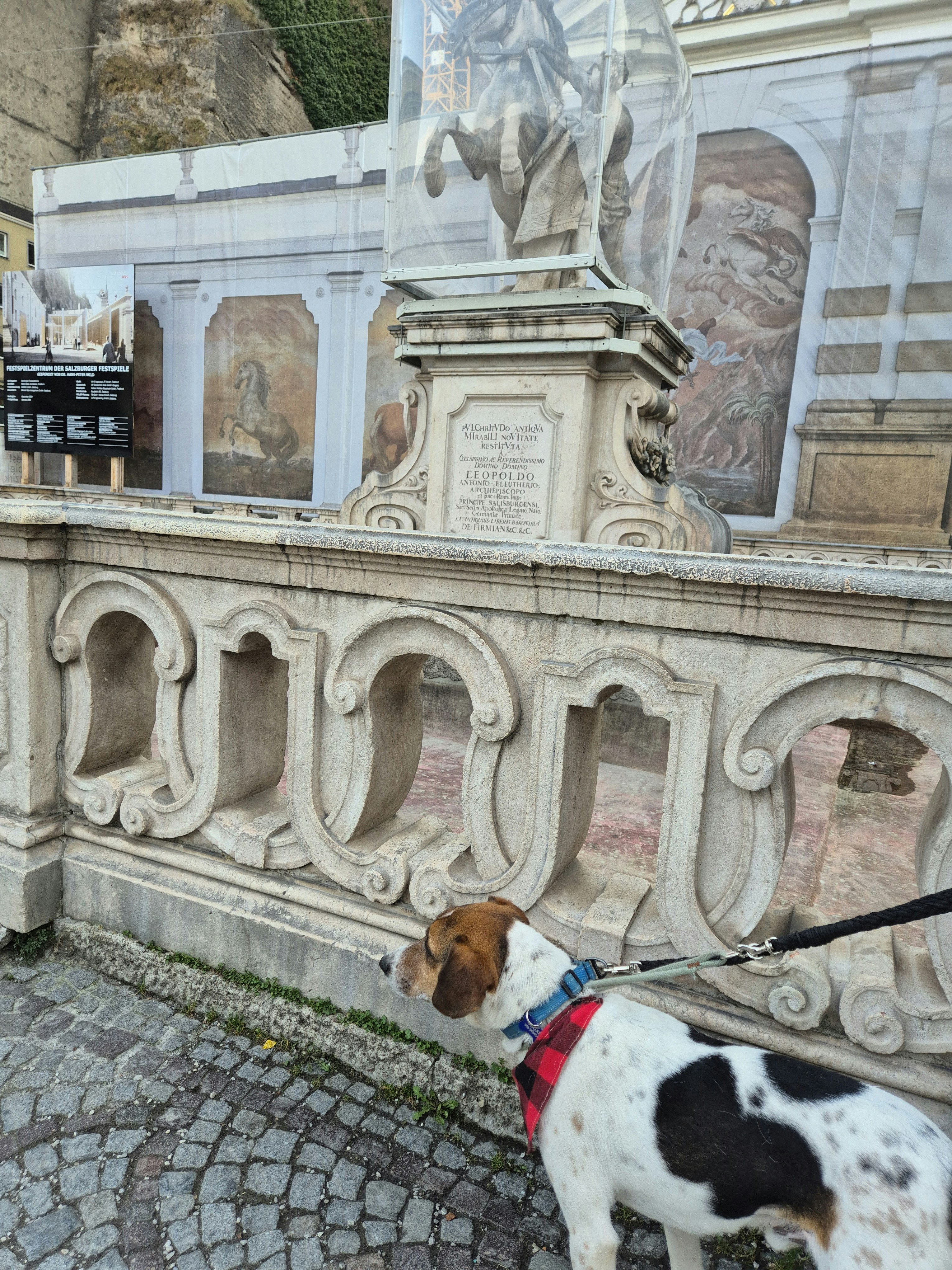 Player photo from The Last Song in Salzburg: A Family Quest