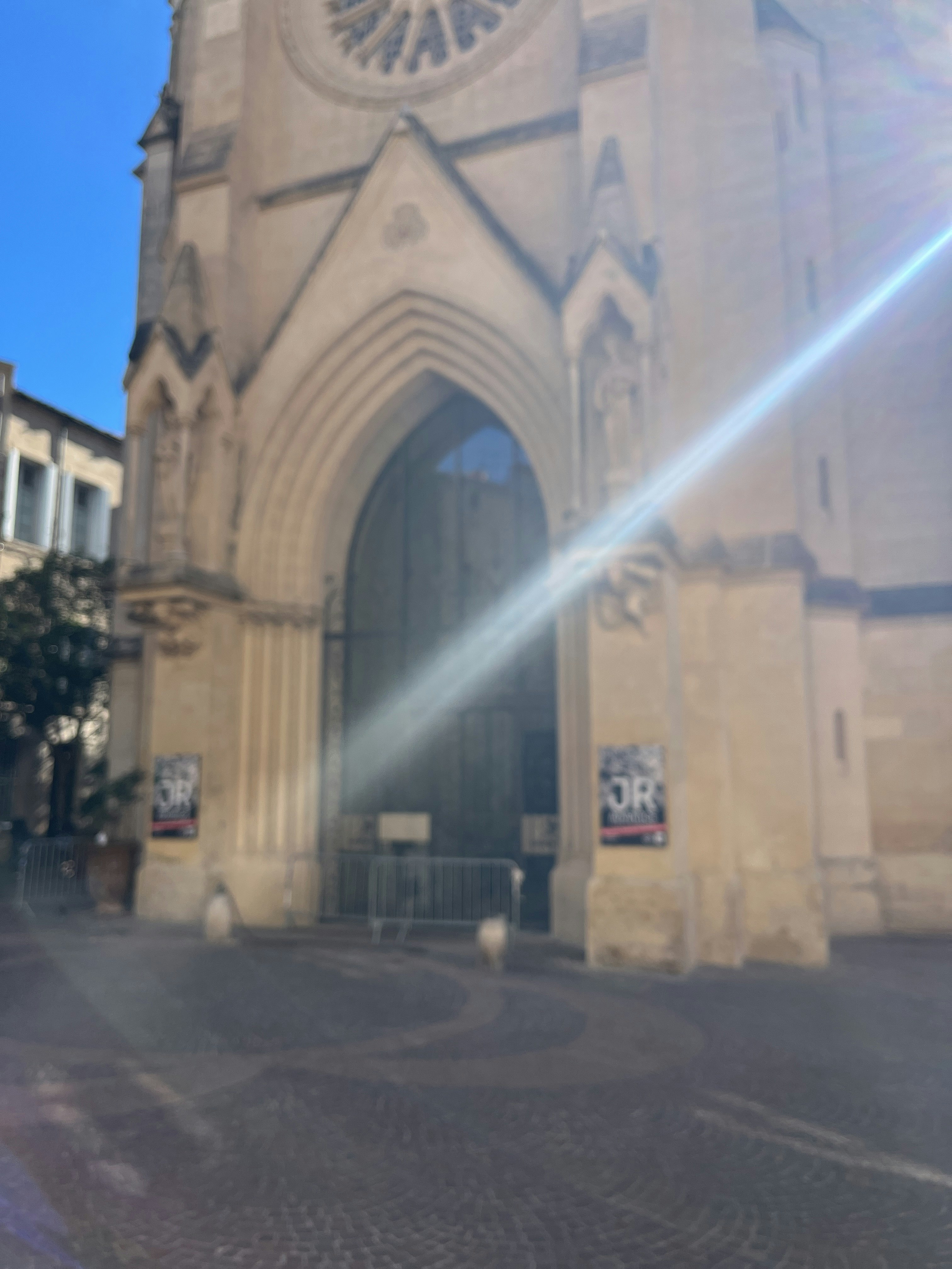 Player photo from The Spellbound Sculpture: A Montpellier Halloween Quest walking tour in Montpellier