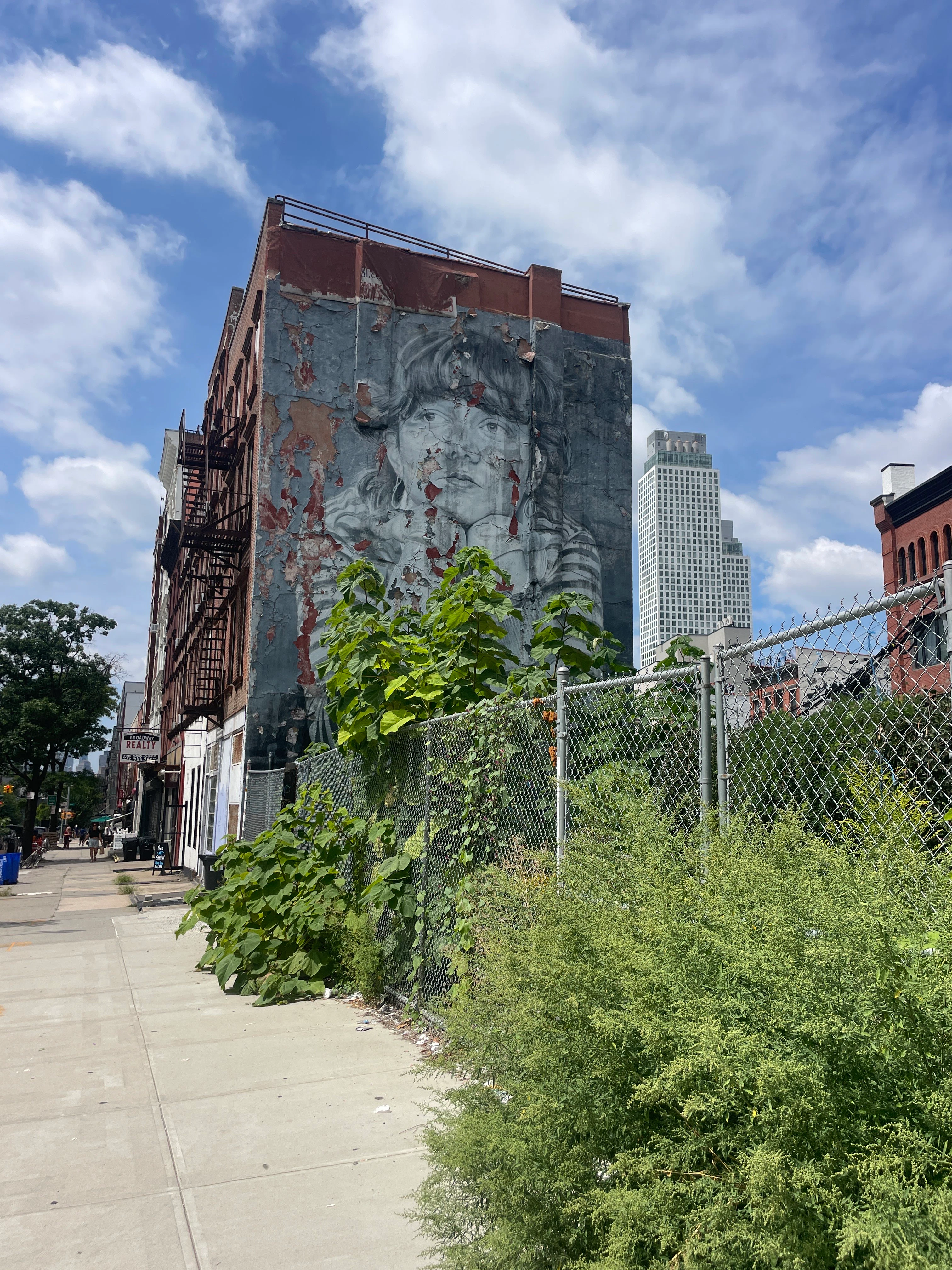Player photo from Brooklyn, NY: Echoes of the Painted Streets walking tour in New York City