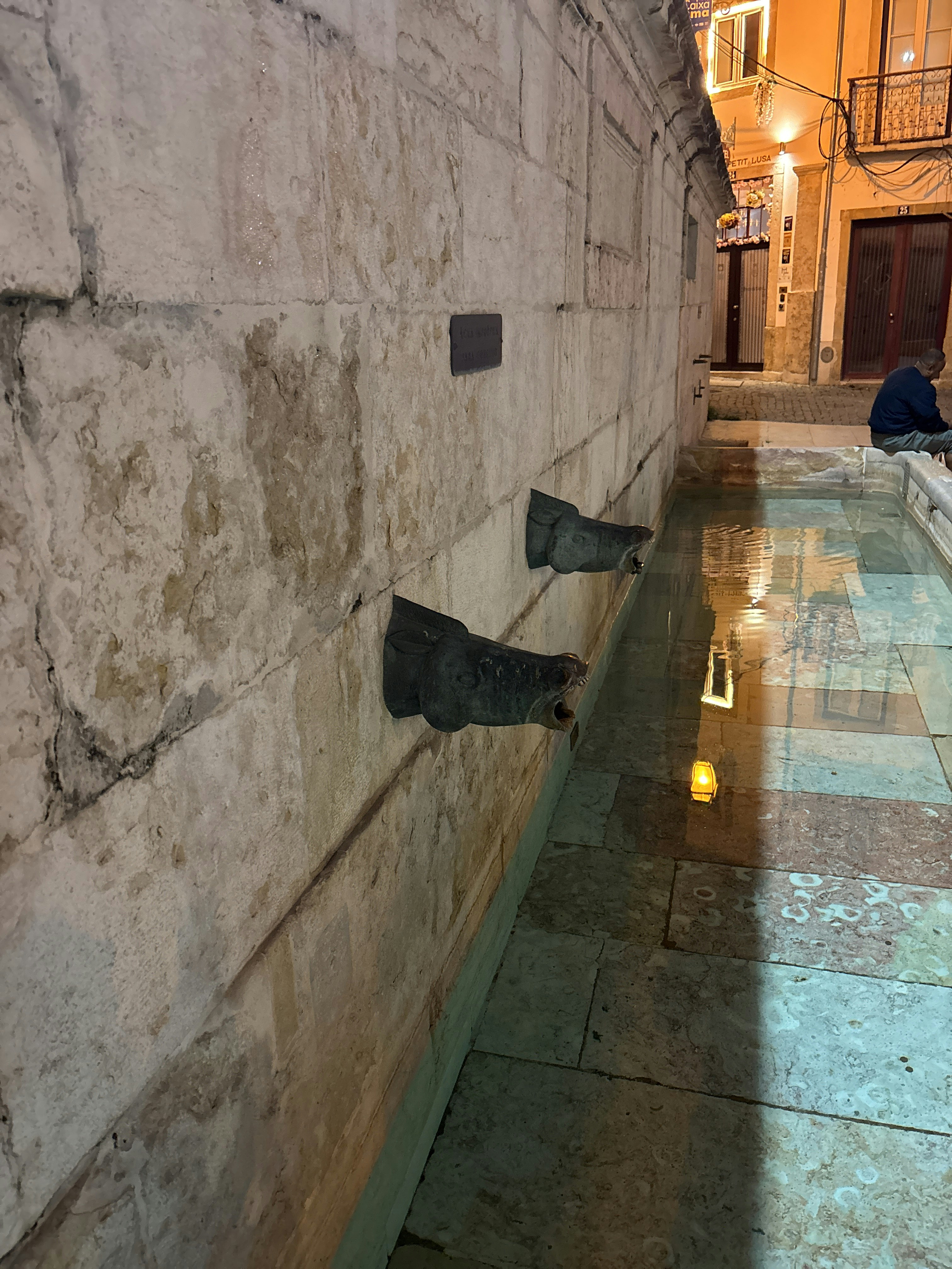 Player photo from Highlights of Lisbon: Fado Murder Mystery in Alfama walking tour in Lisbon