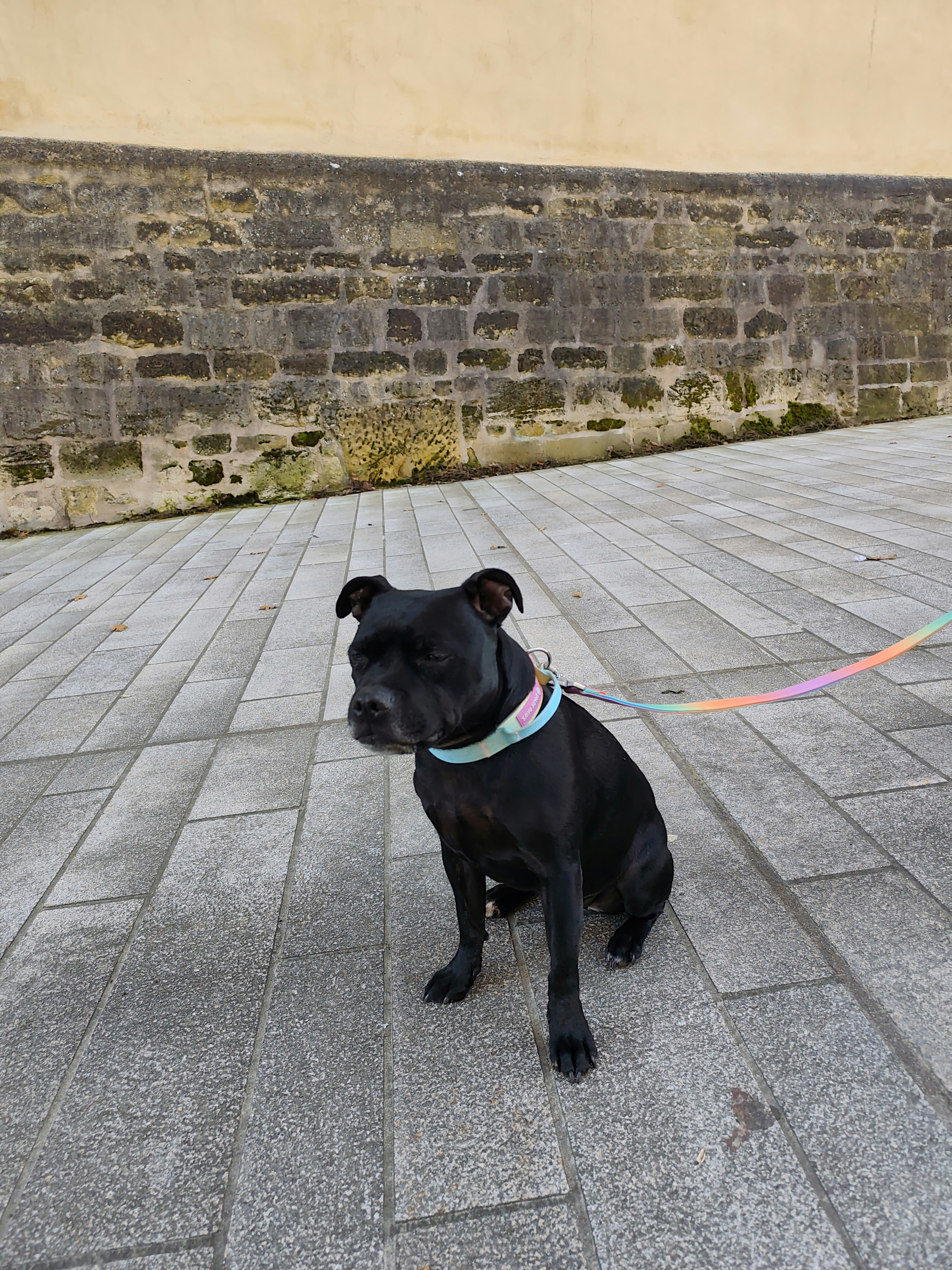 Player photo from Romantic Luxembourg: Remember Your Love walking tour in Luxembourg