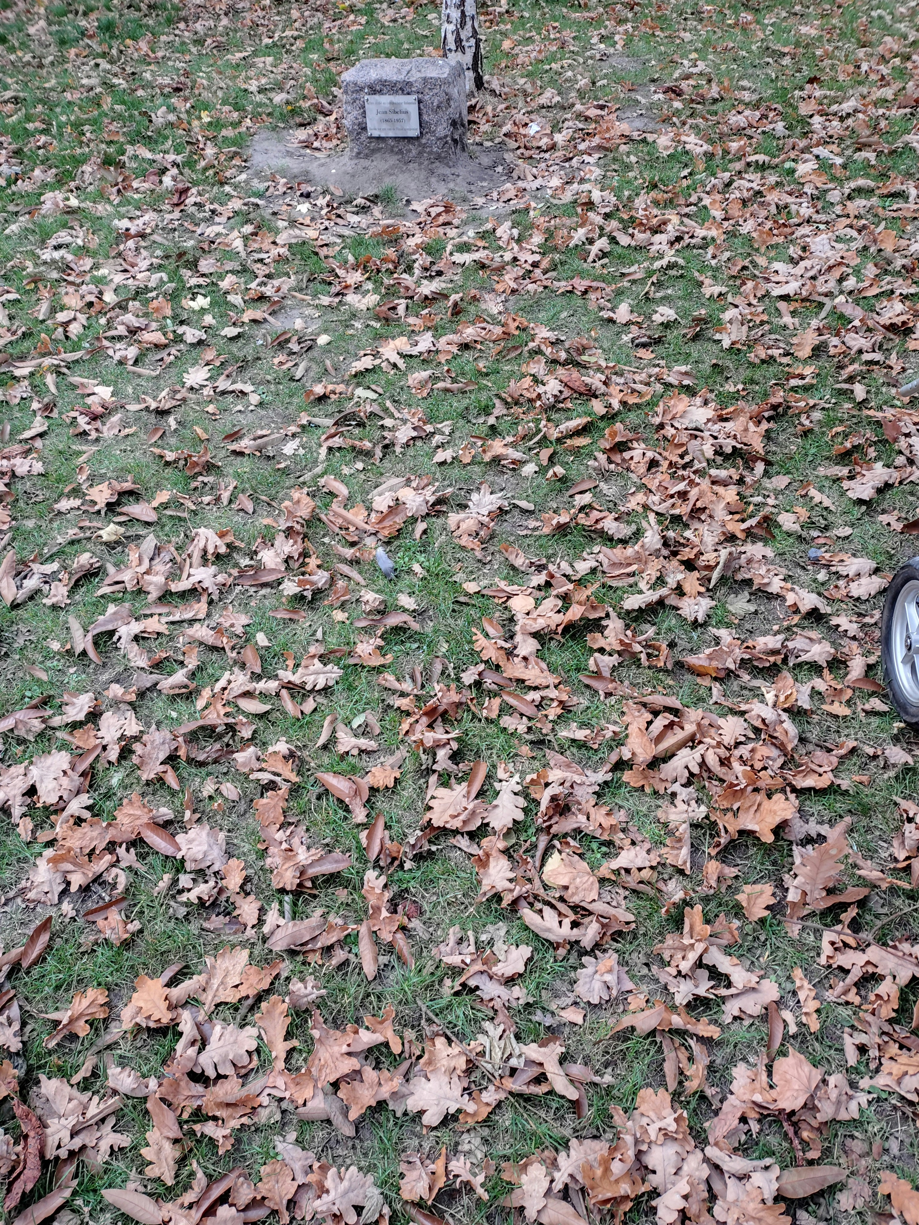 Player photo from Old Town Brussels: The Secret Beer Recipes walking tour in Brussels