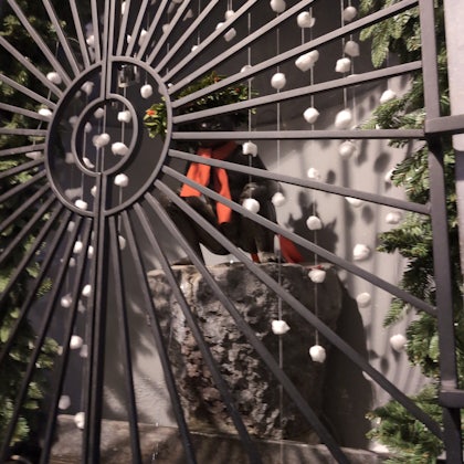 Player photo from Old Town Brussels: The Secret Beer Recipes walking tour in Brussels