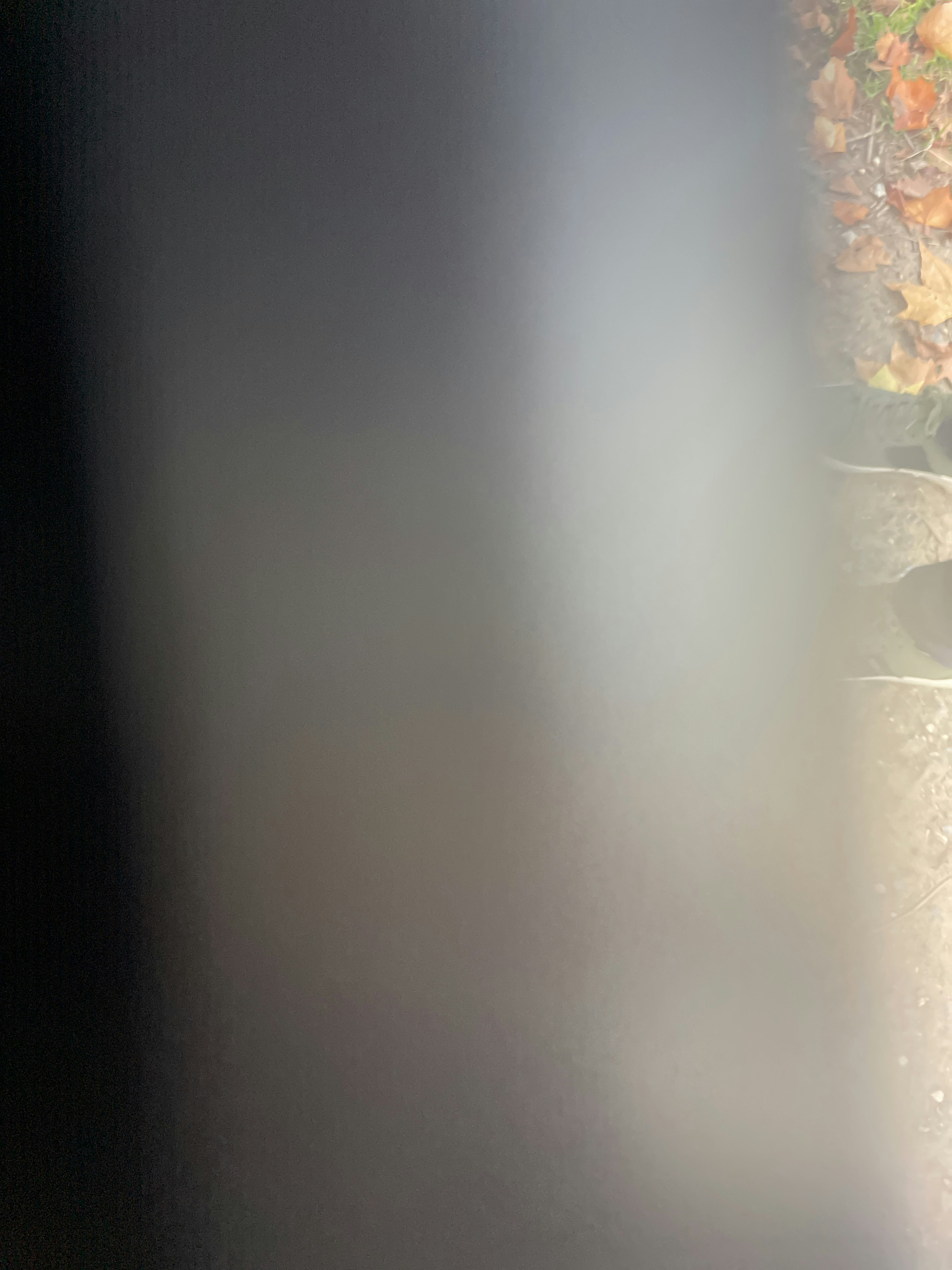 Player photo from Old Town Brussels: The Secret Beer Recipes walking tour in Brussels