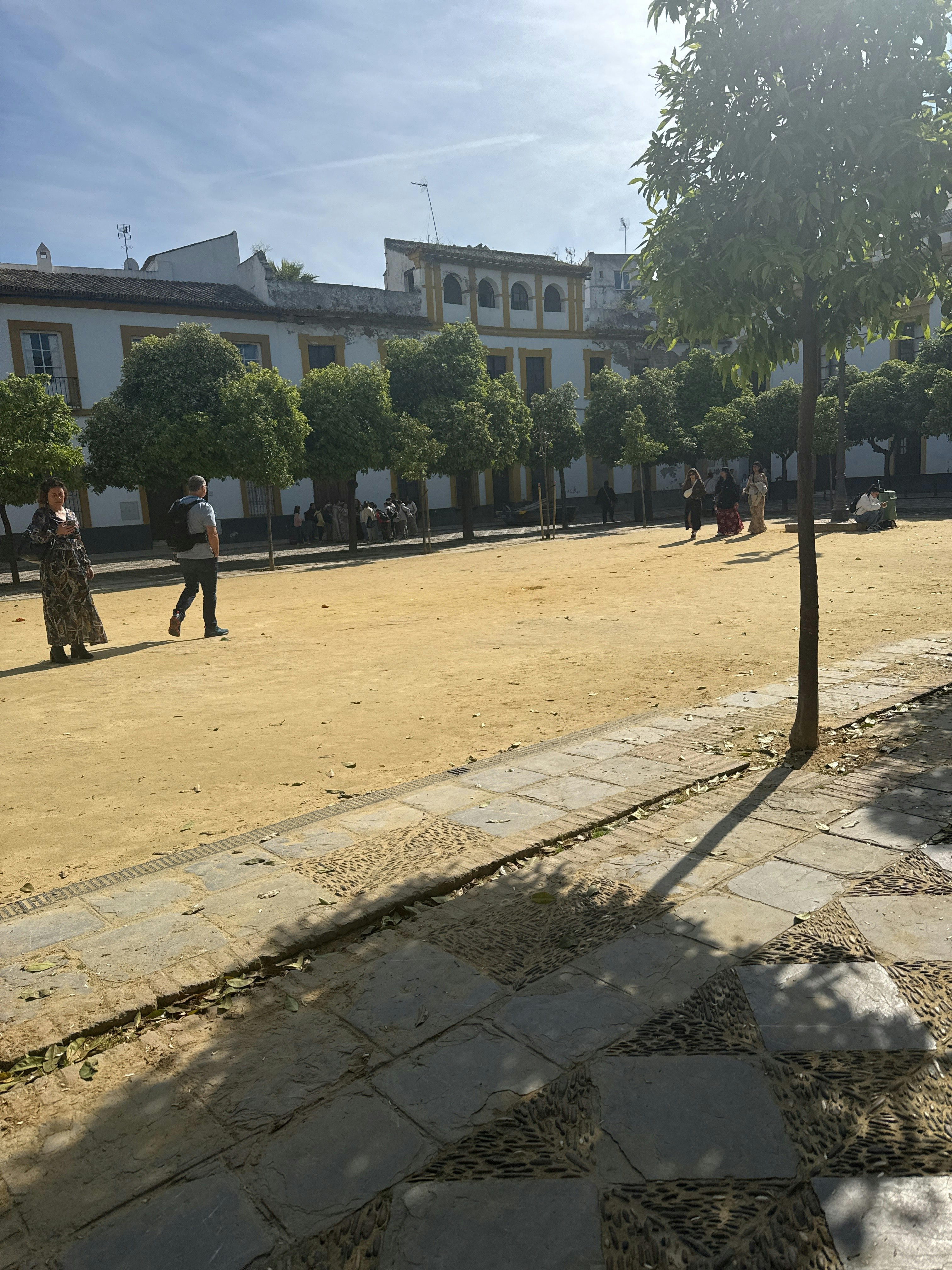 Player photo from Seville Old Town: The Inheritance walking tour in Seville