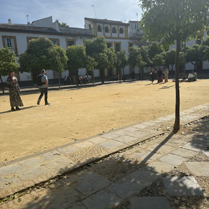 Player photo from Seville Old Town: The Inheritance walking tour in Seville