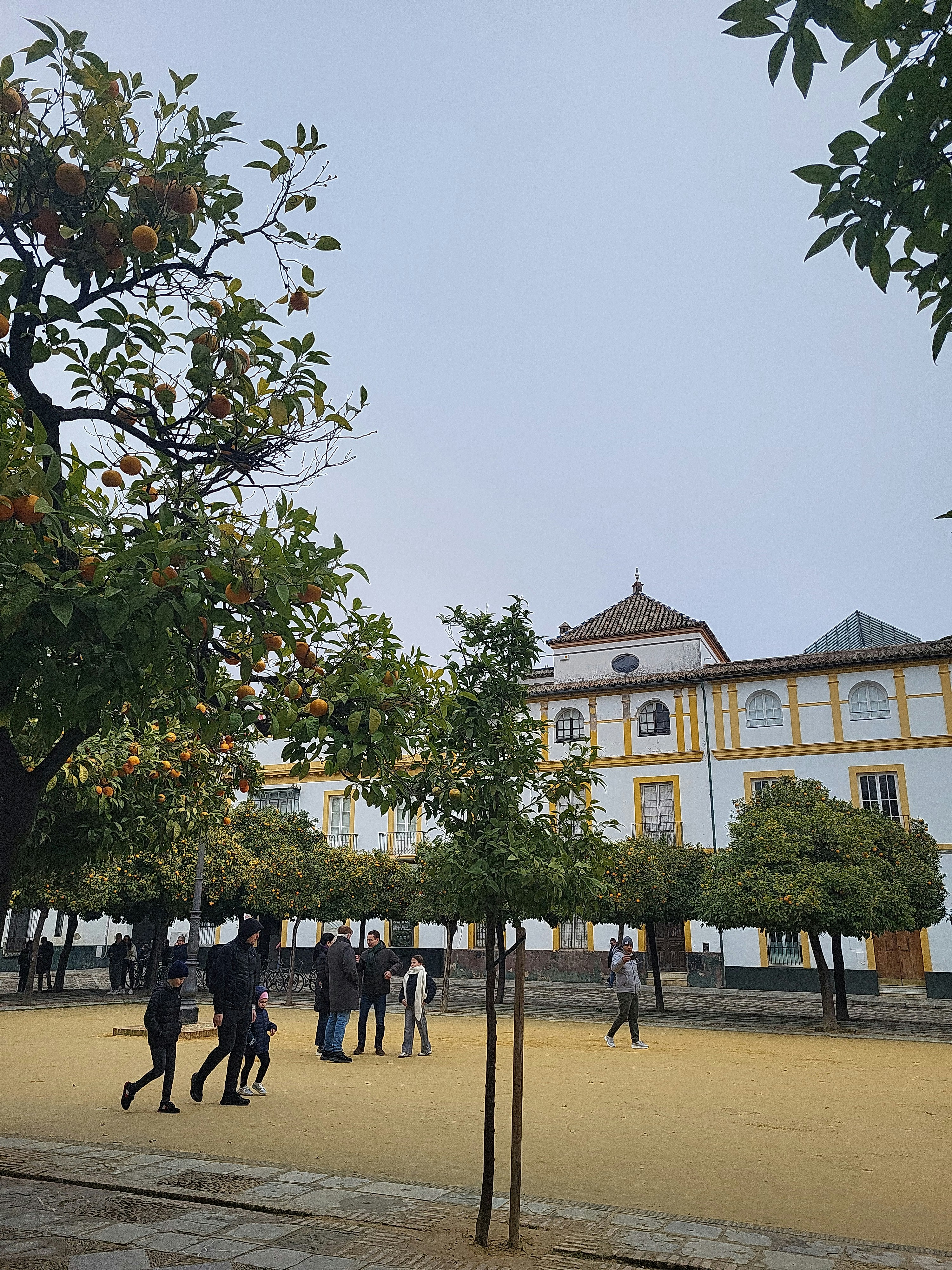 Player photo from Seville Old Town: The Inheritance walking tour in Seville