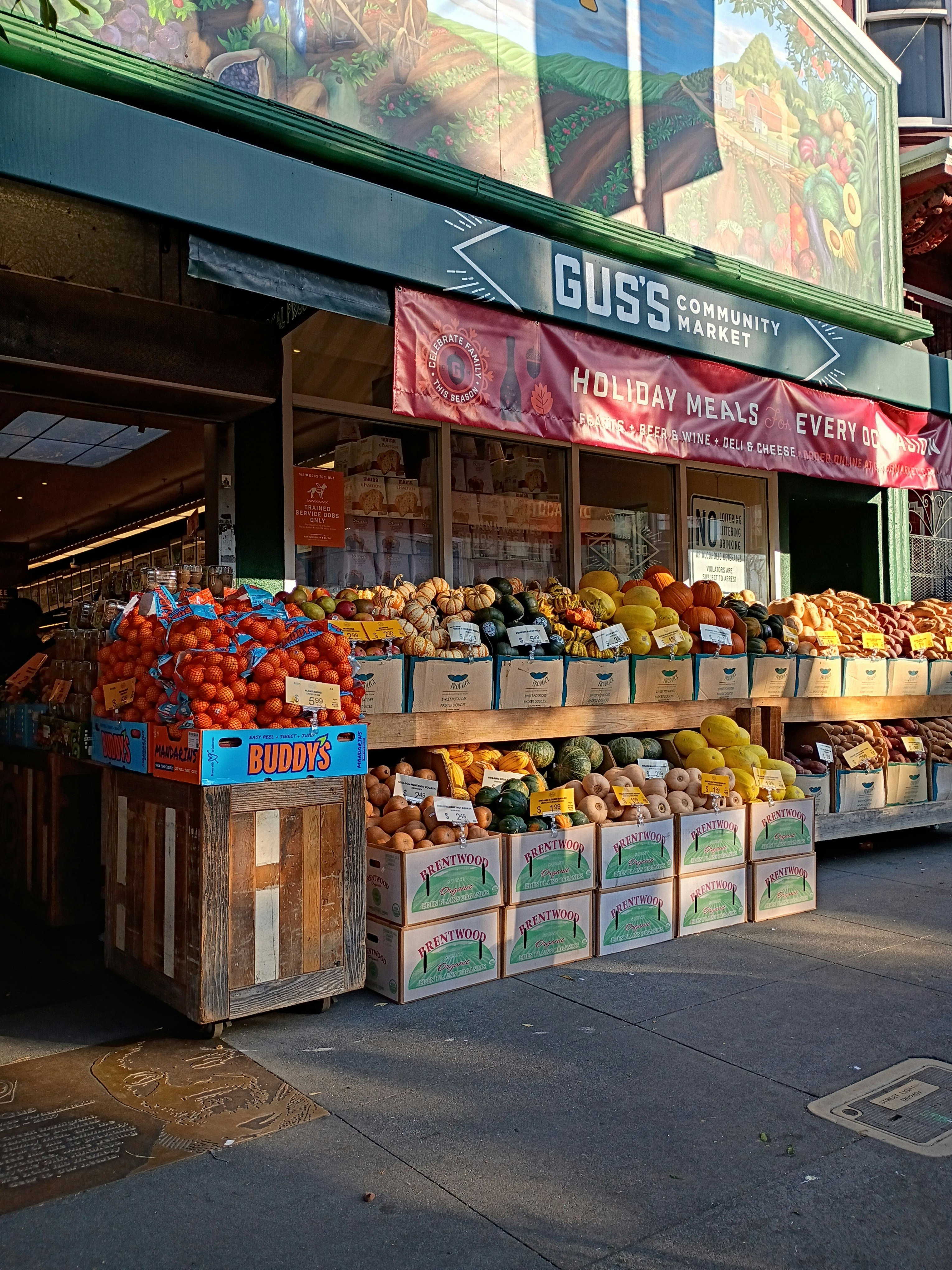 Player photo from San Francisco Haight Ashbury: Hippie Culture walking tour in San Francisco