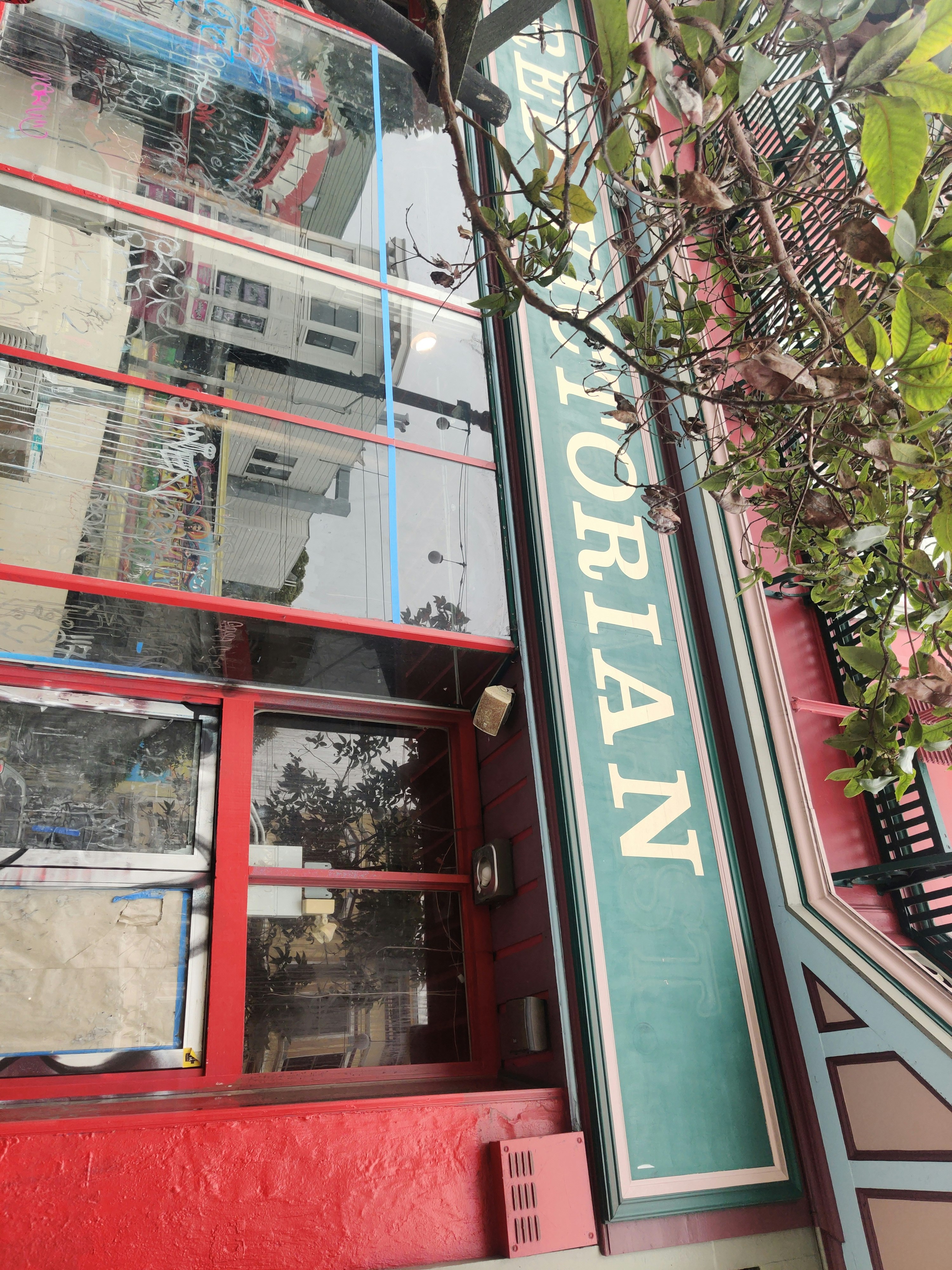 Player photo from San Francisco Haight Ashbury: Hippie Culture walking tour in San Francisco