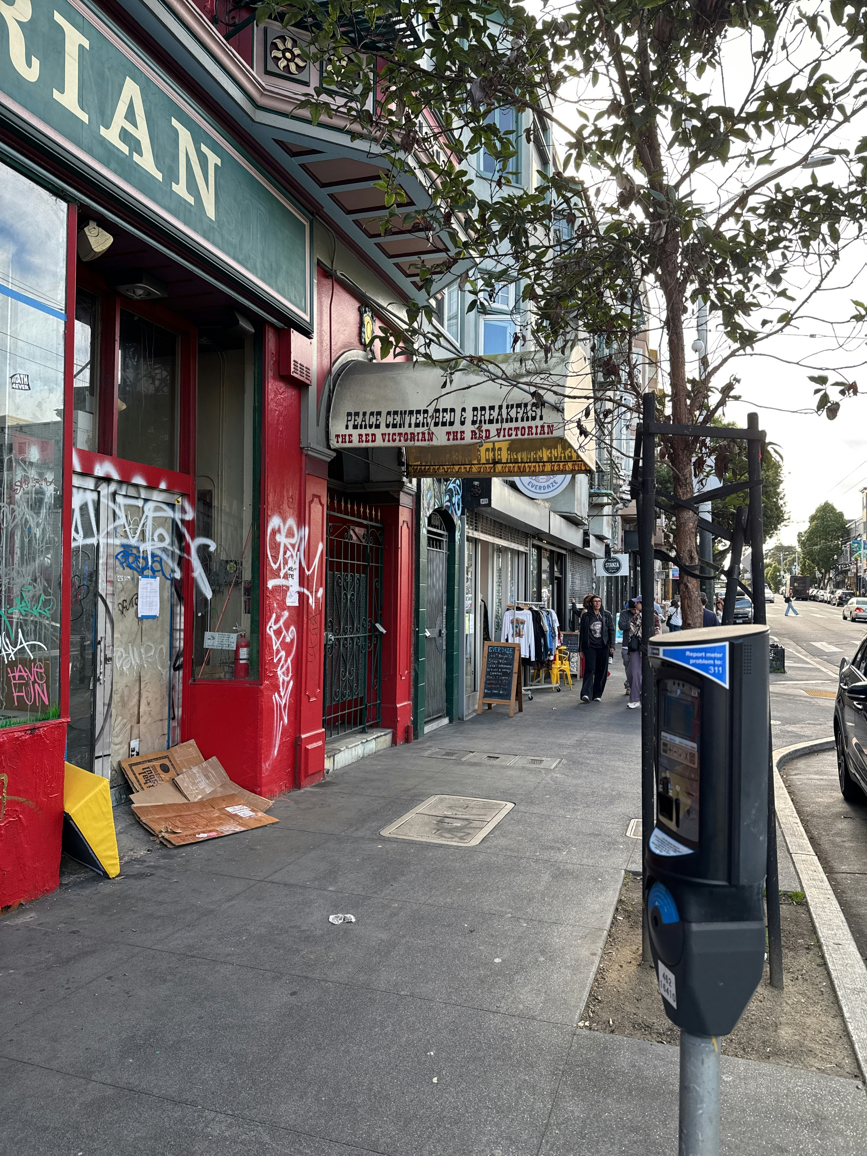Player photo from San Francisco Haight Ashbury: Hippie Culture walking tour in San Francisco