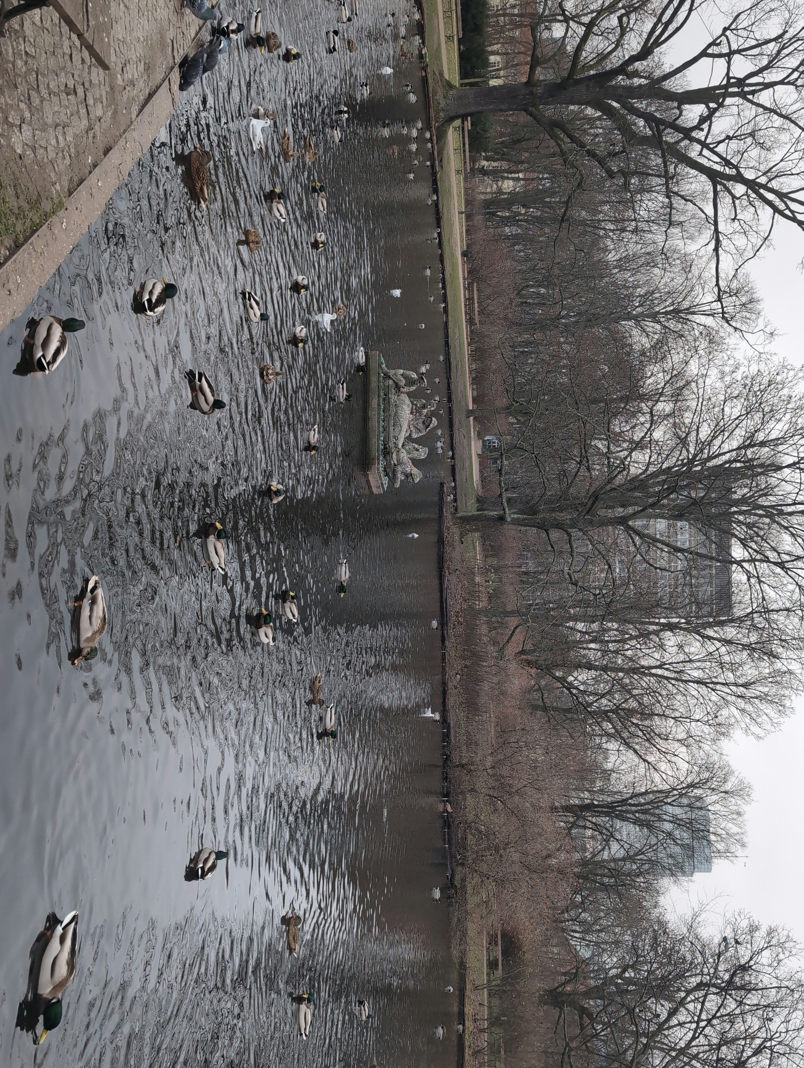 Player photo from Warsaw: Time-Machine Hidden In Muranów walking tour in Warsaw