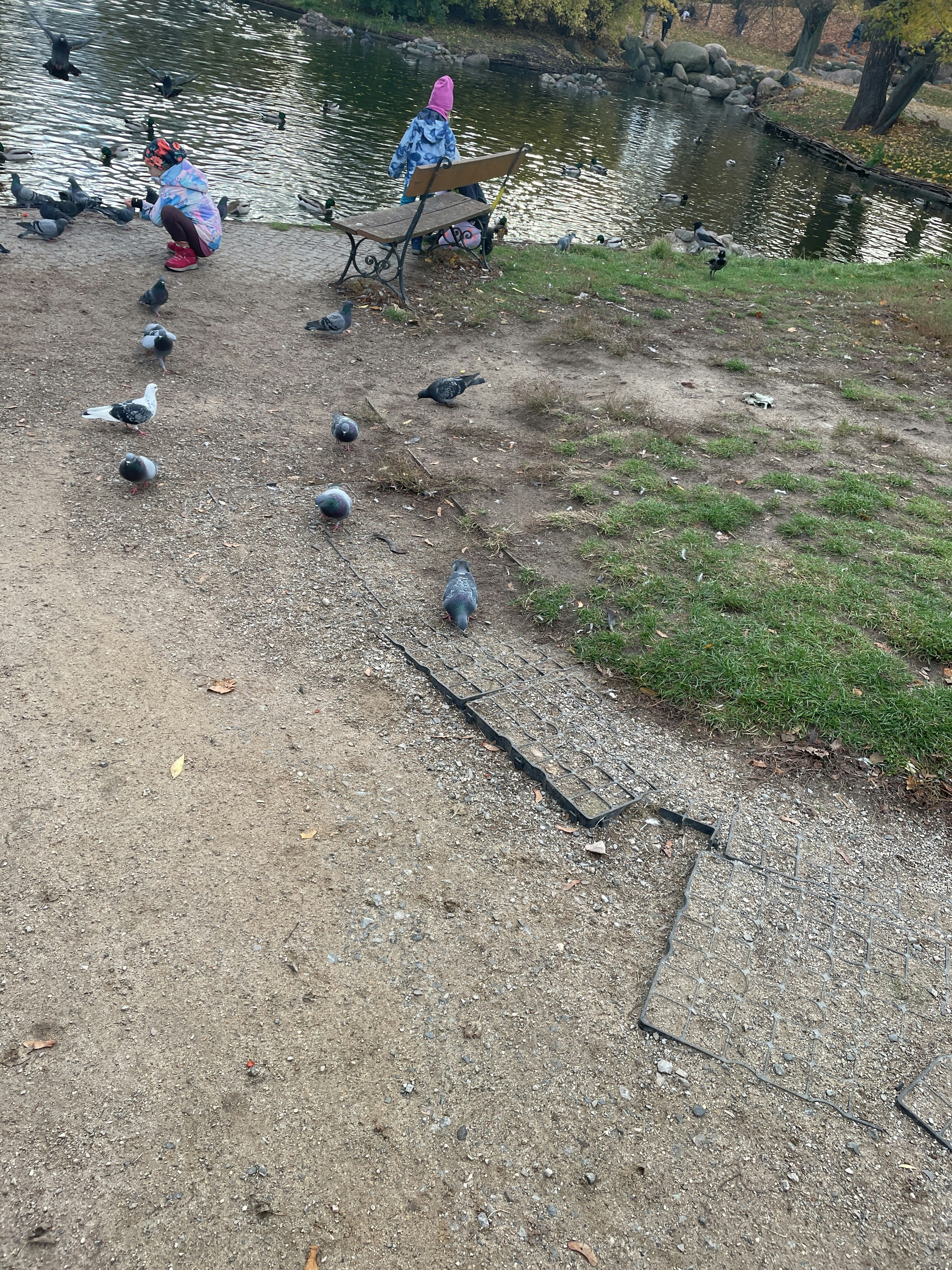 Player photo from Warsaw: Time-Machine Hidden In Muranów walking tour in Warsaw