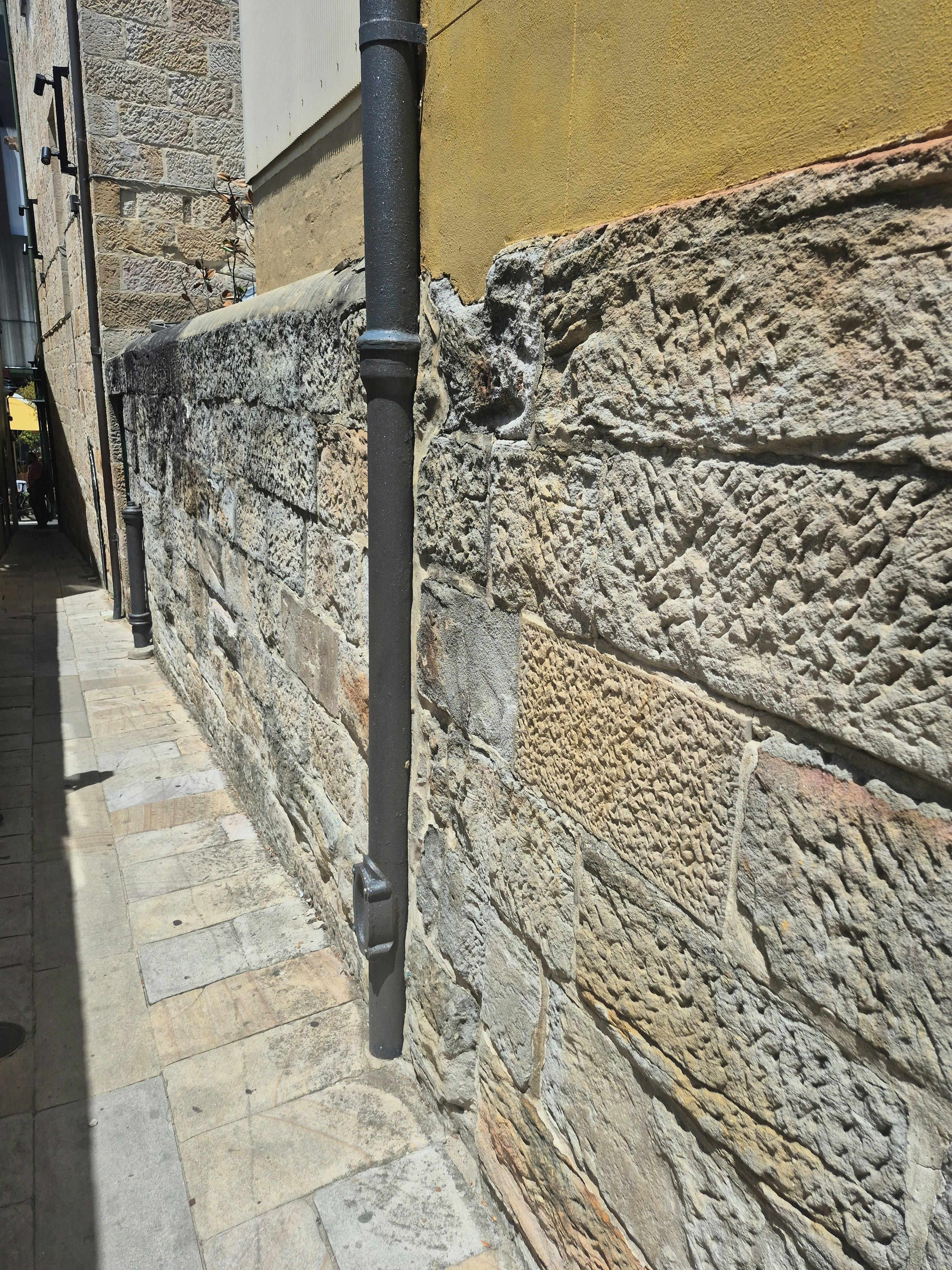 Player photo from Highlights of Sydney: From Prison to Freedom Land walking tour in Sydney