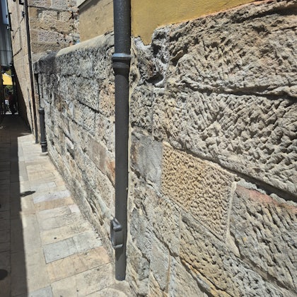 Player photo from Highlights of Sydney: From Prison to Freedom Land walking tour in Sydney