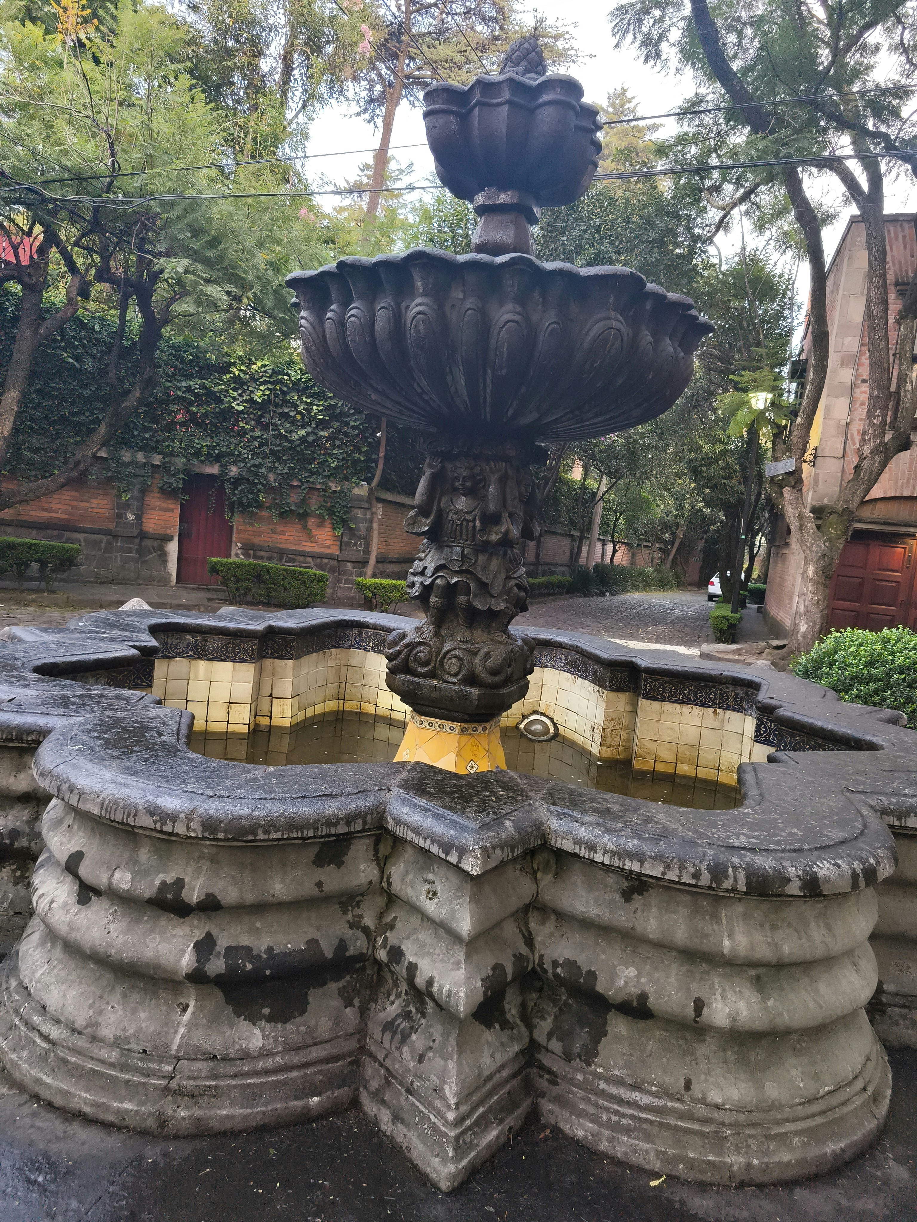 Player photo from Hidden Gems of Mexico City walking tour in Mexico City