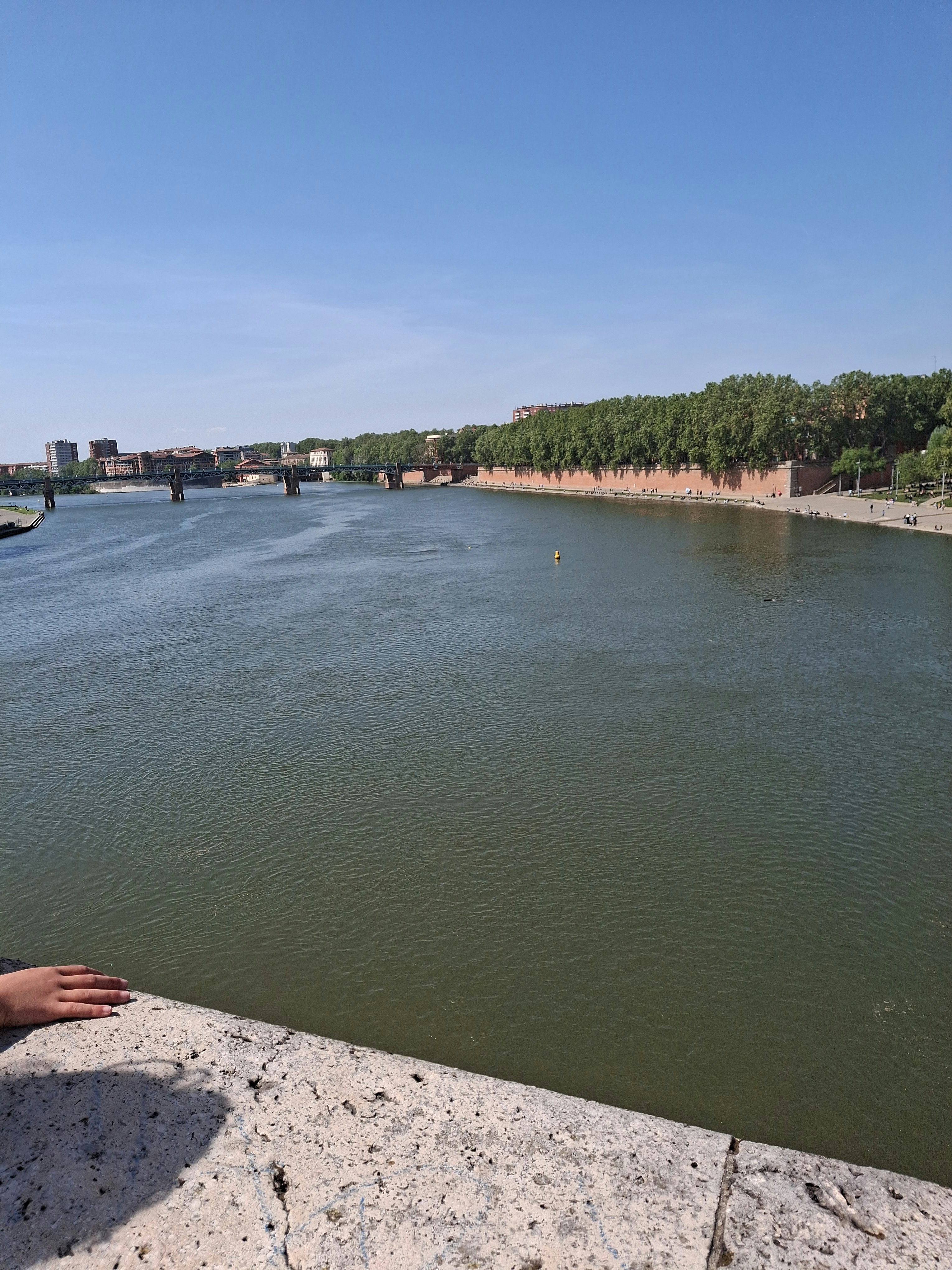 Player photo from Toulouse Old Town: Treasure Quest walking tour in Toulouse