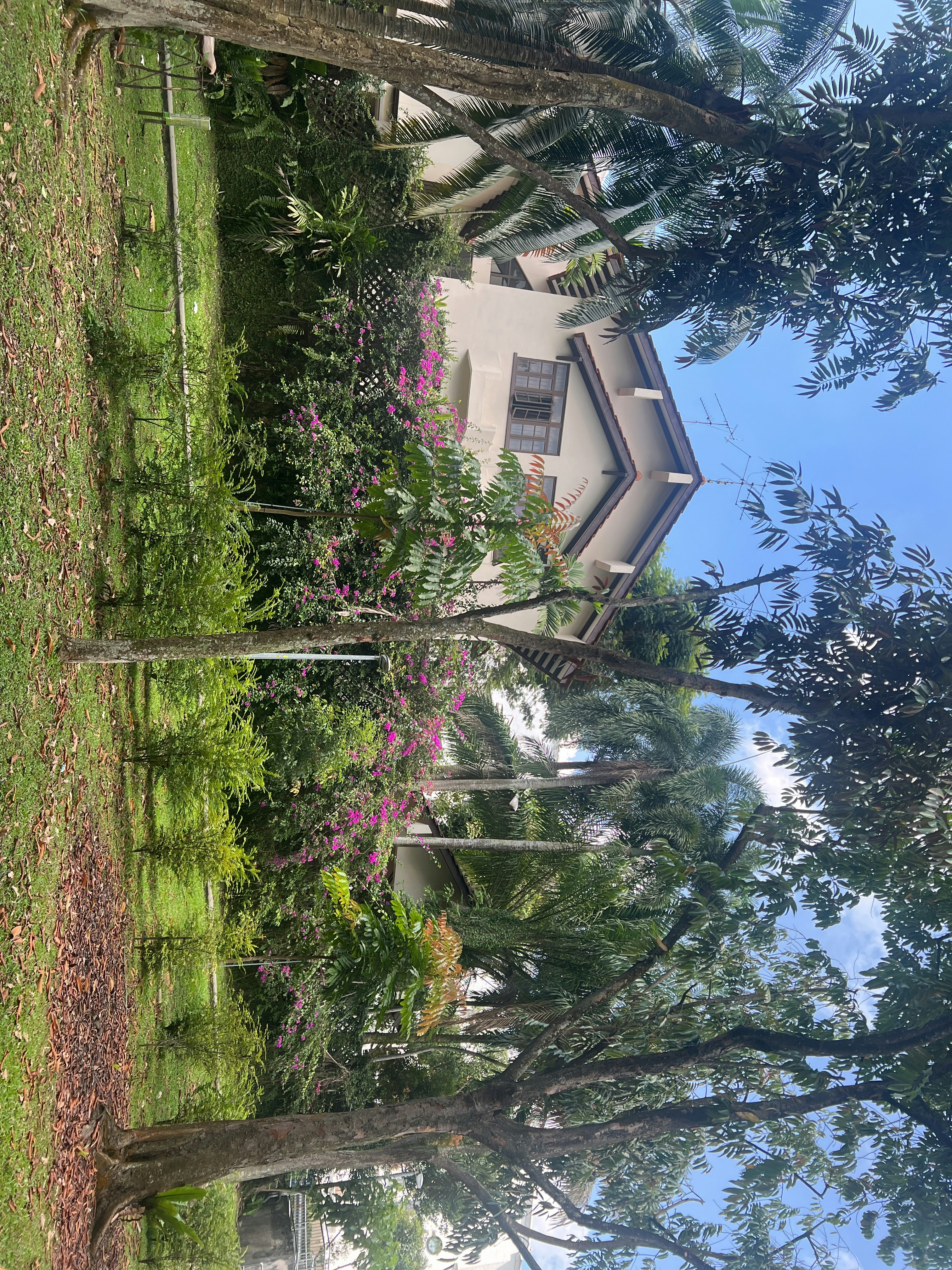 Player photo from Singapore City Centre: Time Travel Quest walking tour in Singapore