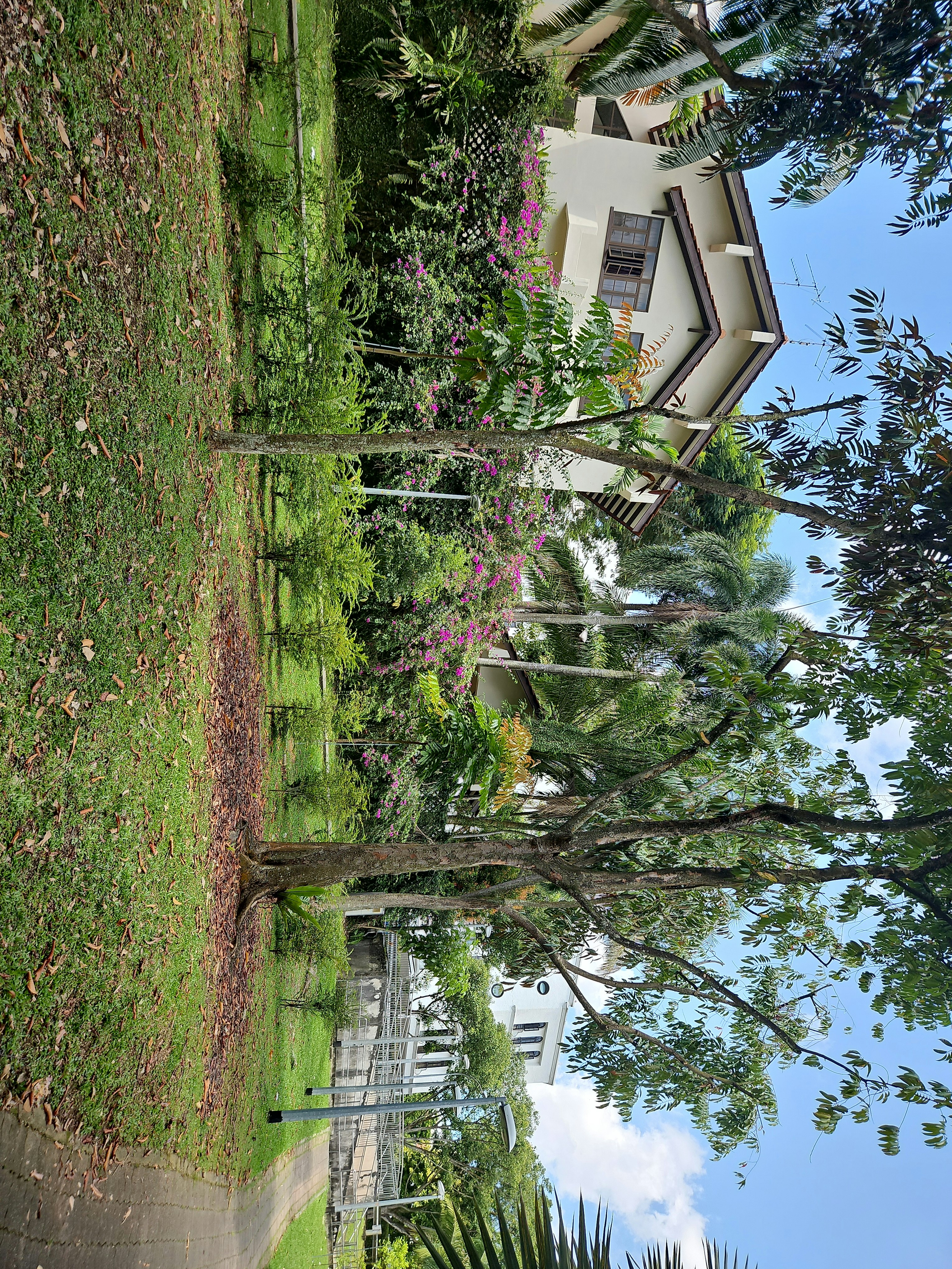 Player photo from Singapore City Centre: Time Travel Quest walking tour in Singapore