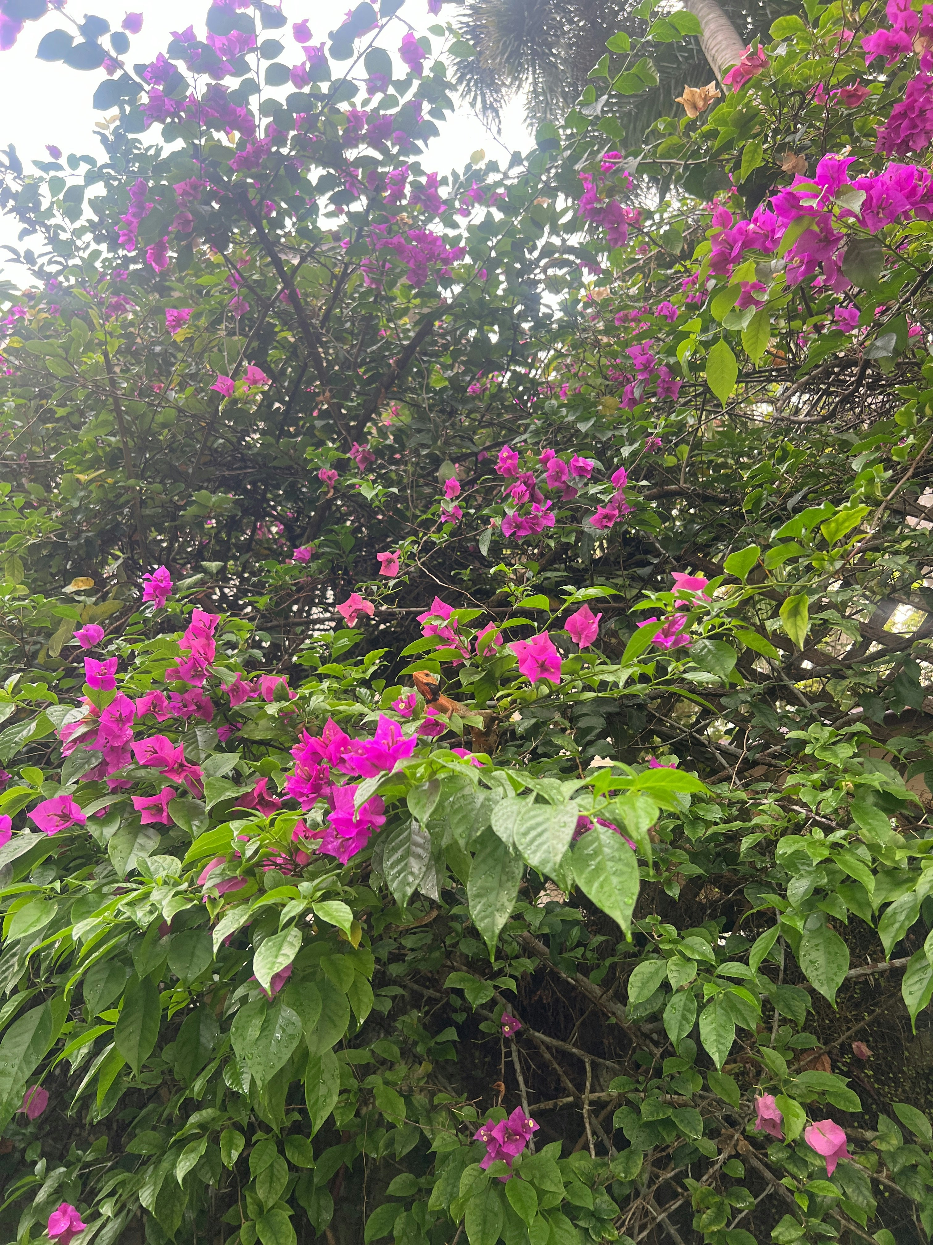 Player photo from Singapore City Centre: Time Travel Quest