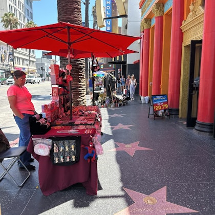 Player photo from Ghosts of Hollywood Los Angeles: Haunted City walking tour in Los Angeles