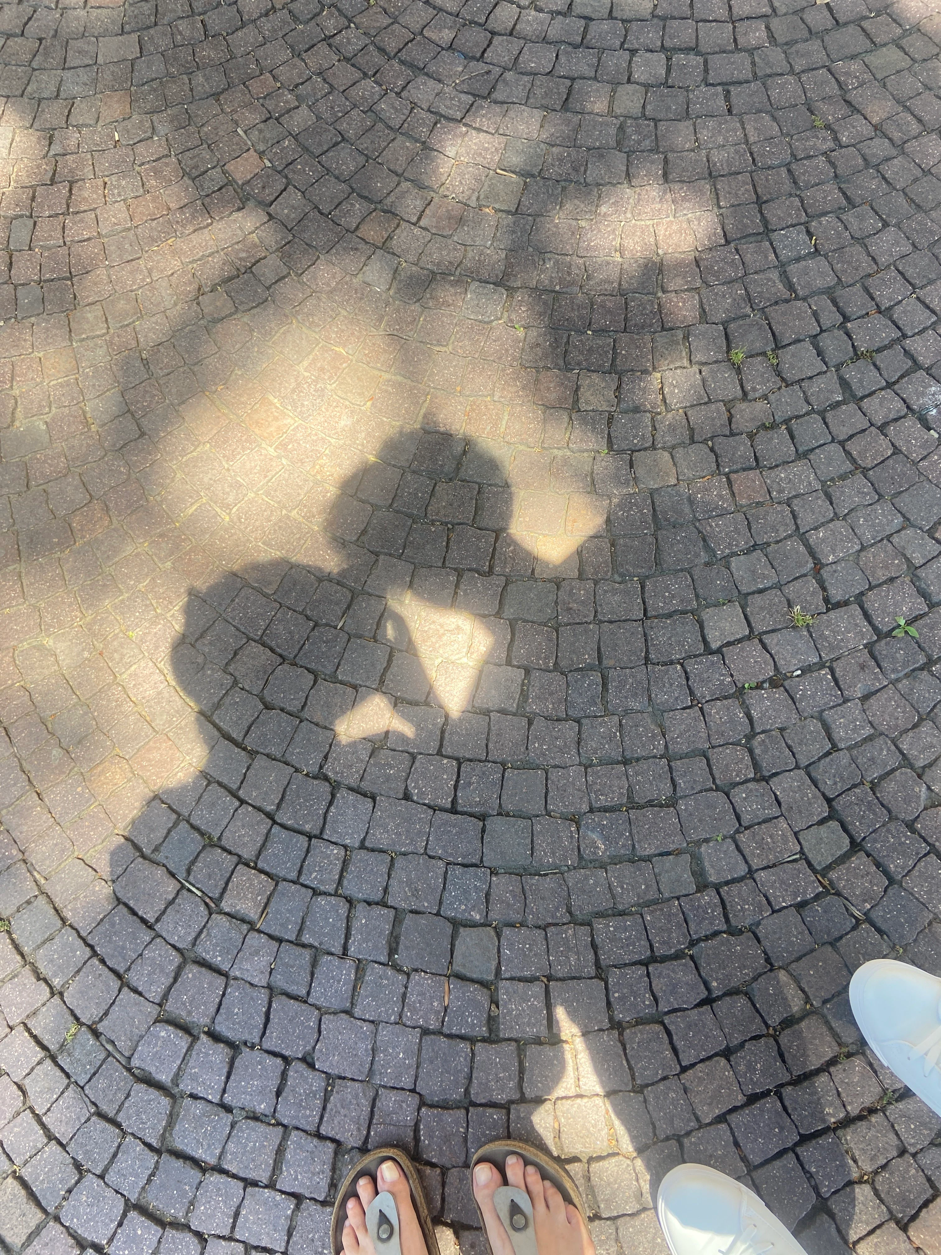 Player photo from Ghosts of Turin: The Hidden Spell walking tour in Turin