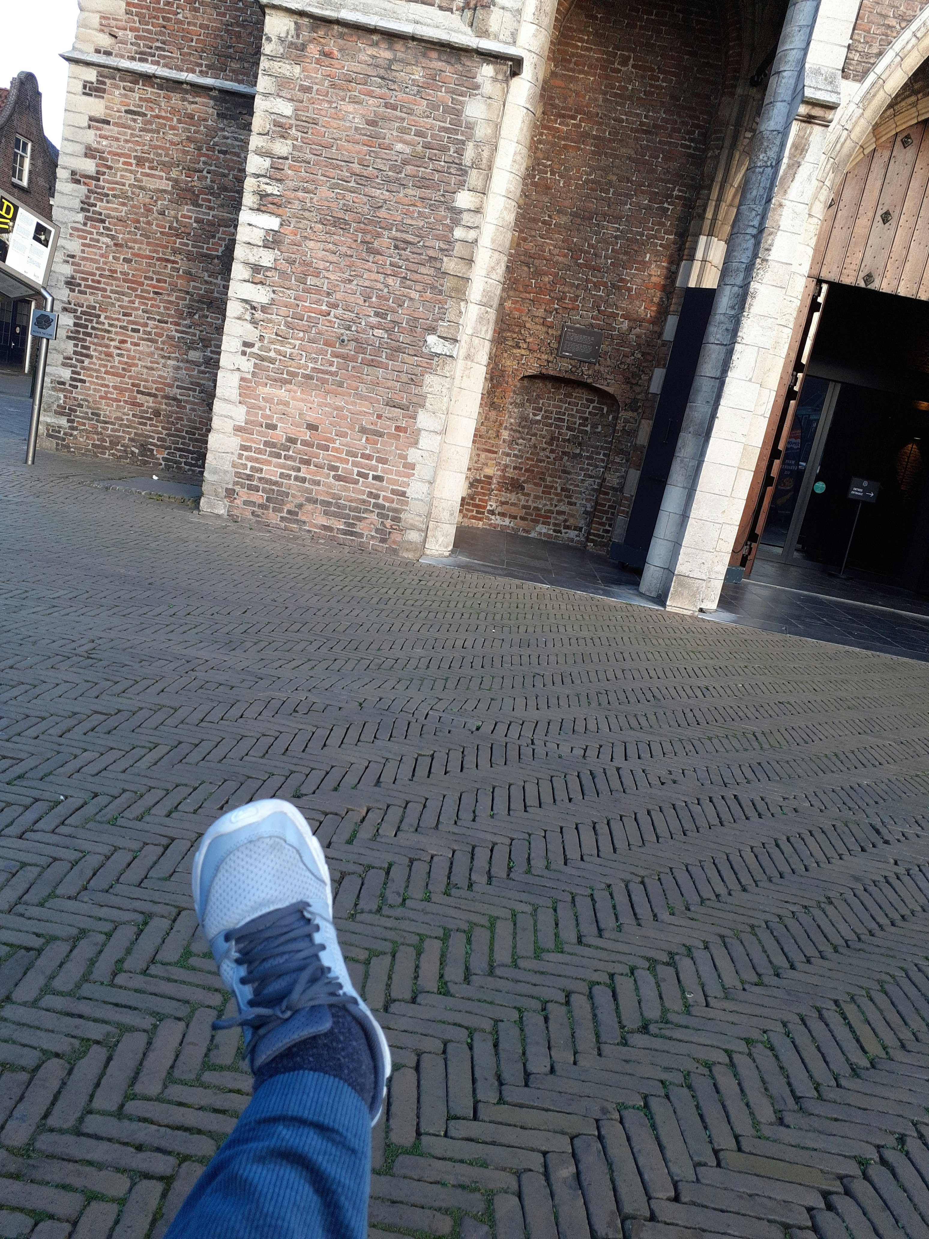 Player photo from Highlights of Delft: The Blue's Clues walking tour in Delft