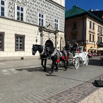 Player photo from Legends of Krakow: The Artist’s Gamble walking tour in Kraków