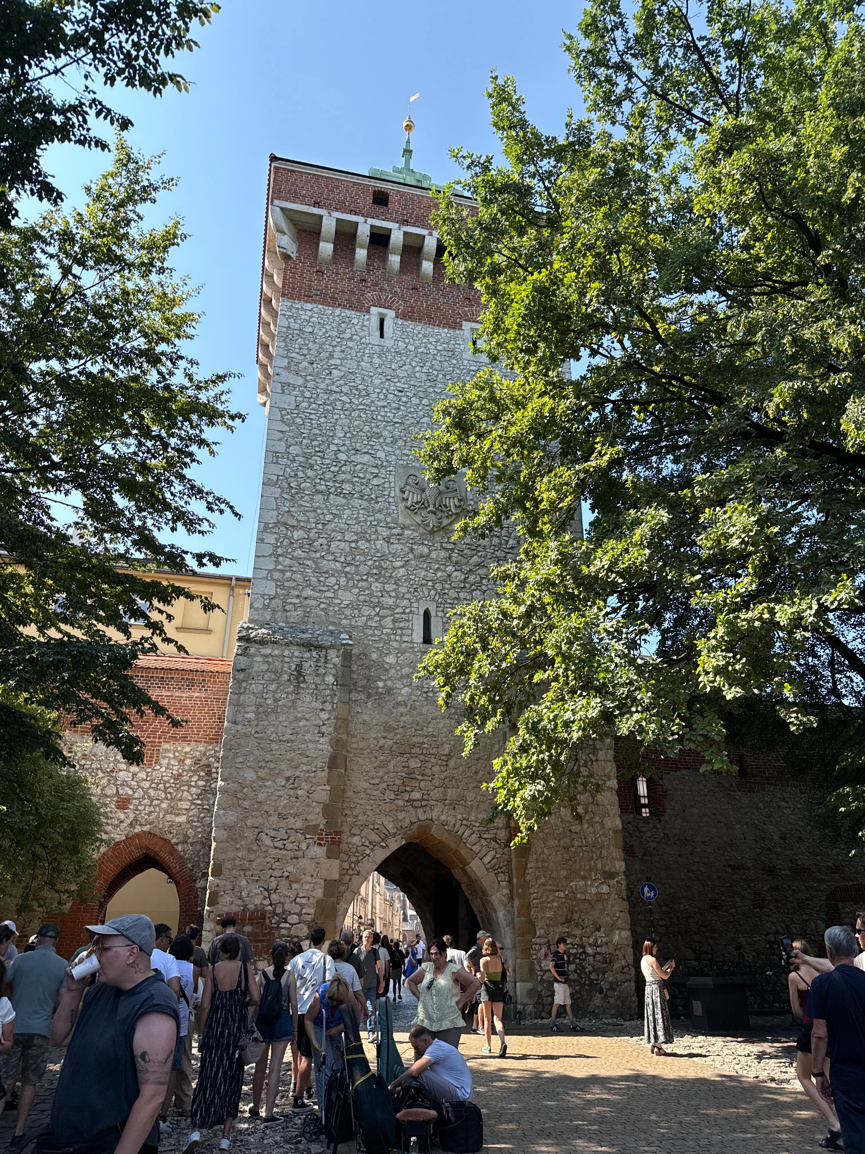 Player photo from Legends of Krakow: The Artist’s Gamble walking tour in Kraków