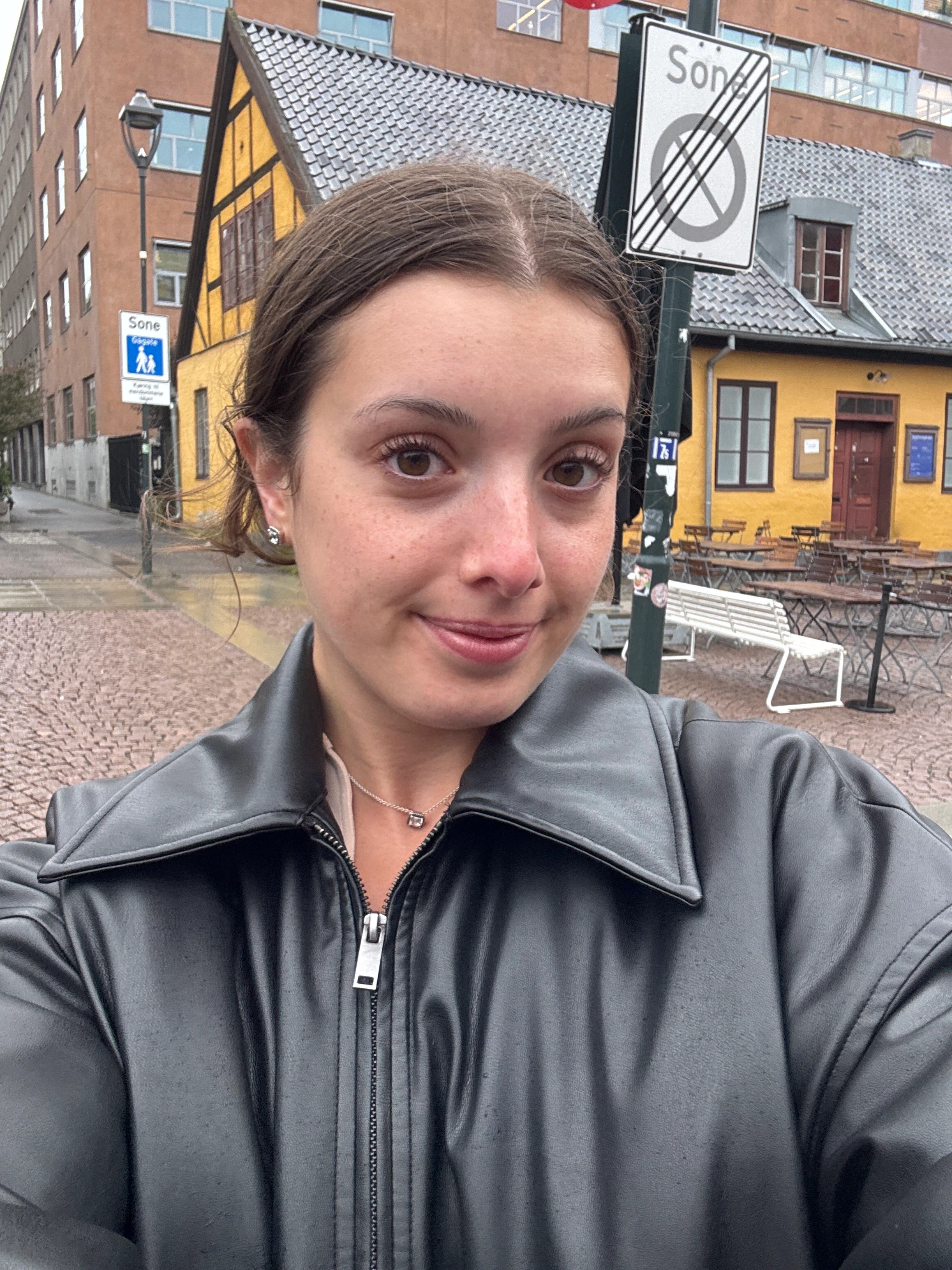 Player photo from Oslo Old Town: Viking Tales walking tour in Oslo